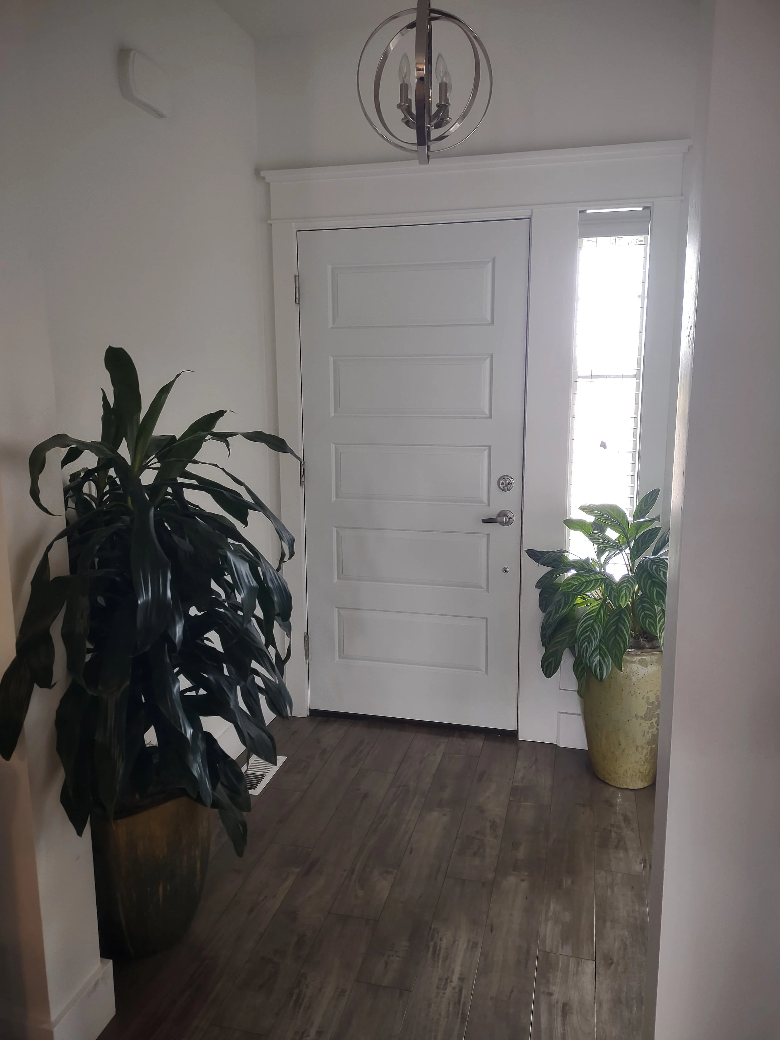 Dracena in Chinese Evergreen positioned at the front entry, creating a natural and inviting transition into a private residence, boise, Idaho.