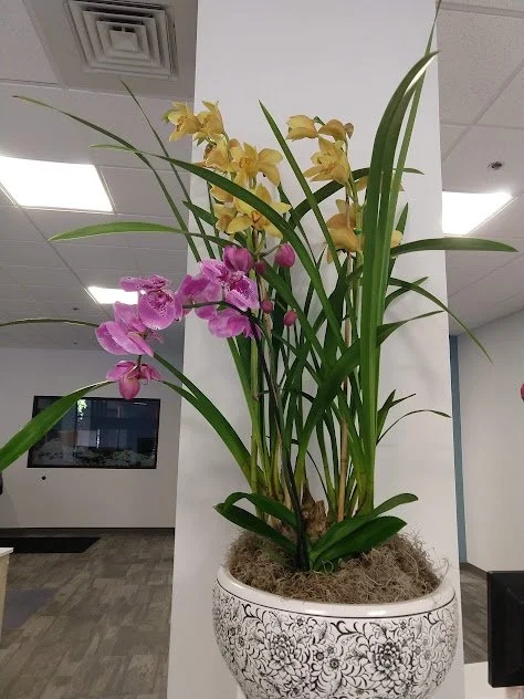 Large orchid arrangement, installed and professionally maintained by the plant people in Boise, Idaho.