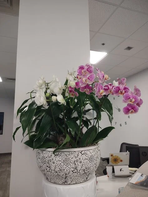 Pink and white orchid arrangement featuring soft and elegant blooms expertly designed and professionally maintained by the Plant People and Treasure Valley
