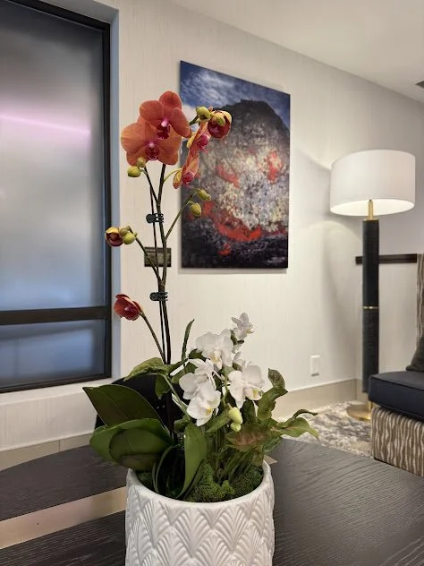 Small orchid arrangement in a Boise professional space designed and maintained for long term plant health.