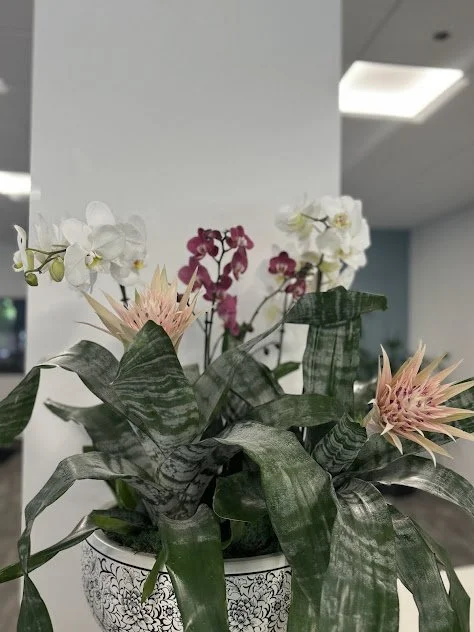 Large arrangement with orchids, bromeliads, and tropical foliage, styled for a modern interior and maintained by a Boise-based plant care company.