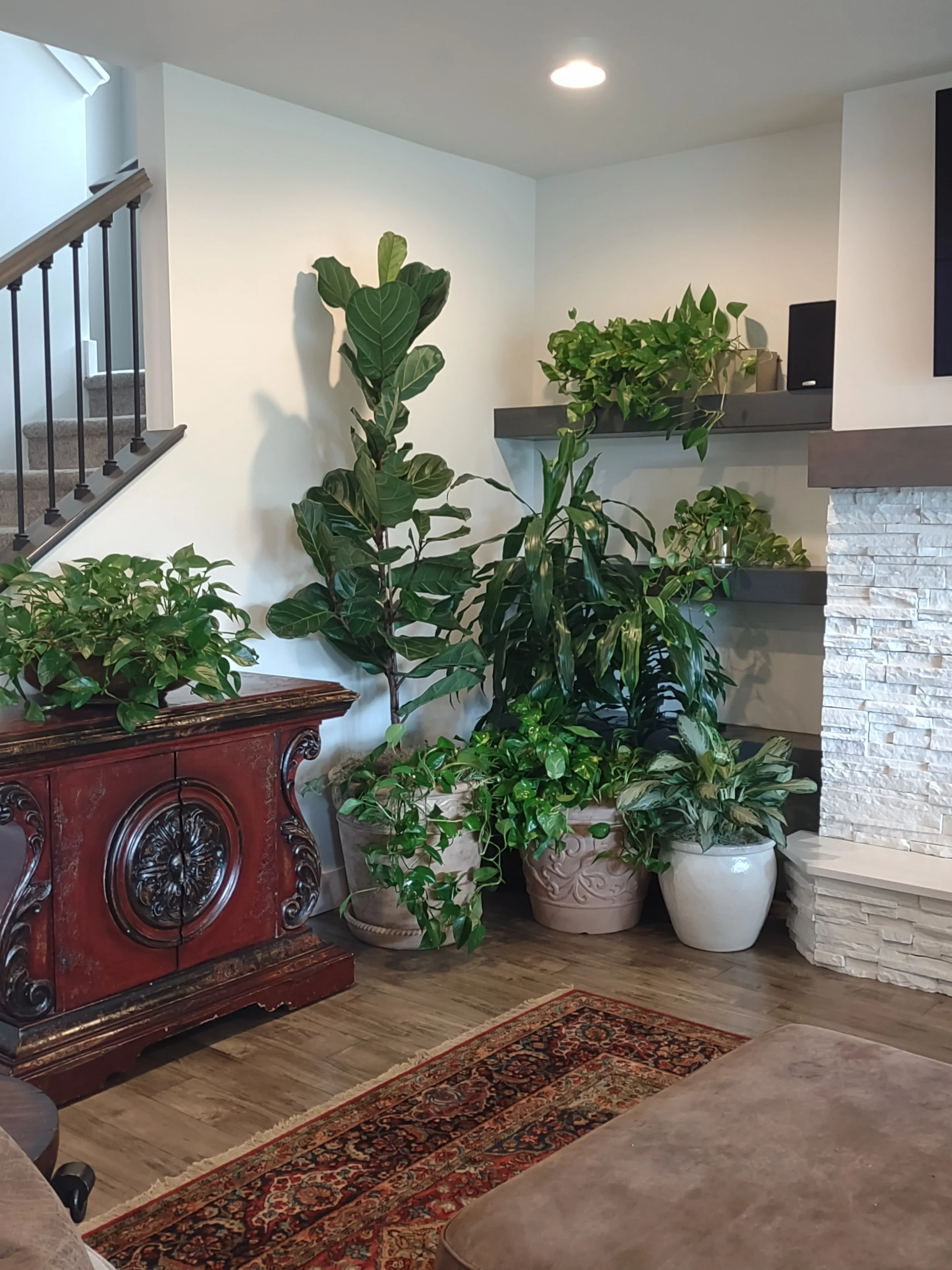 Full corner plant installation in a Boise residence.