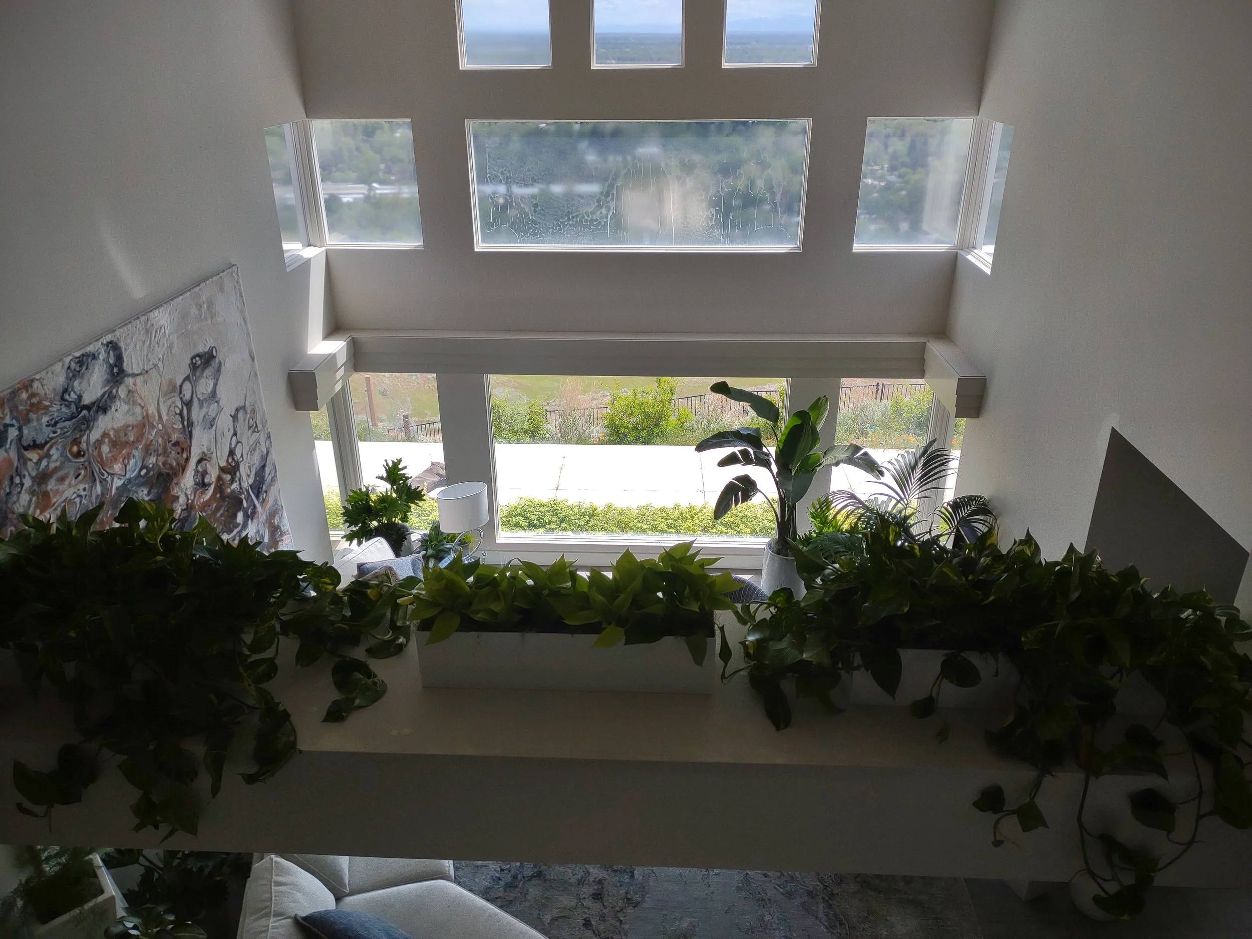 Custom plant placement highlighting a distinctive architectural element in a Boise residential interior.