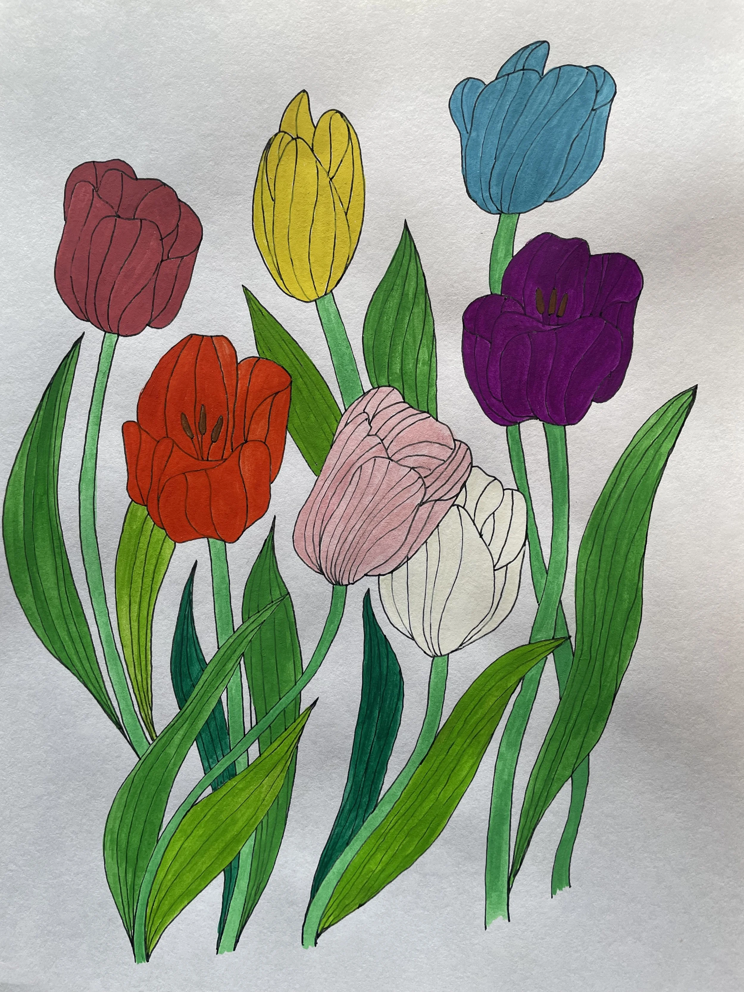Tulips (Color)