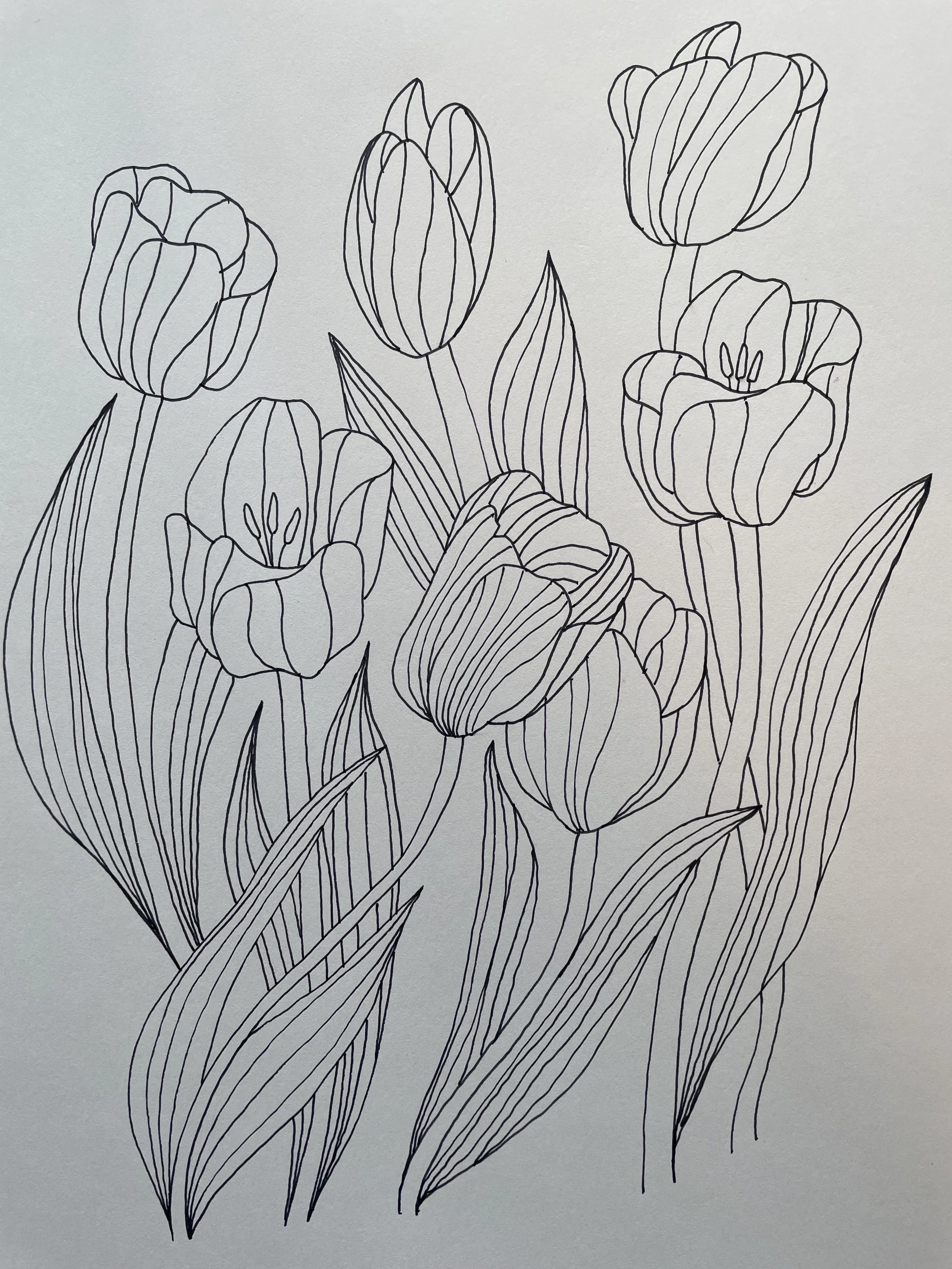 Tulips (B&W)