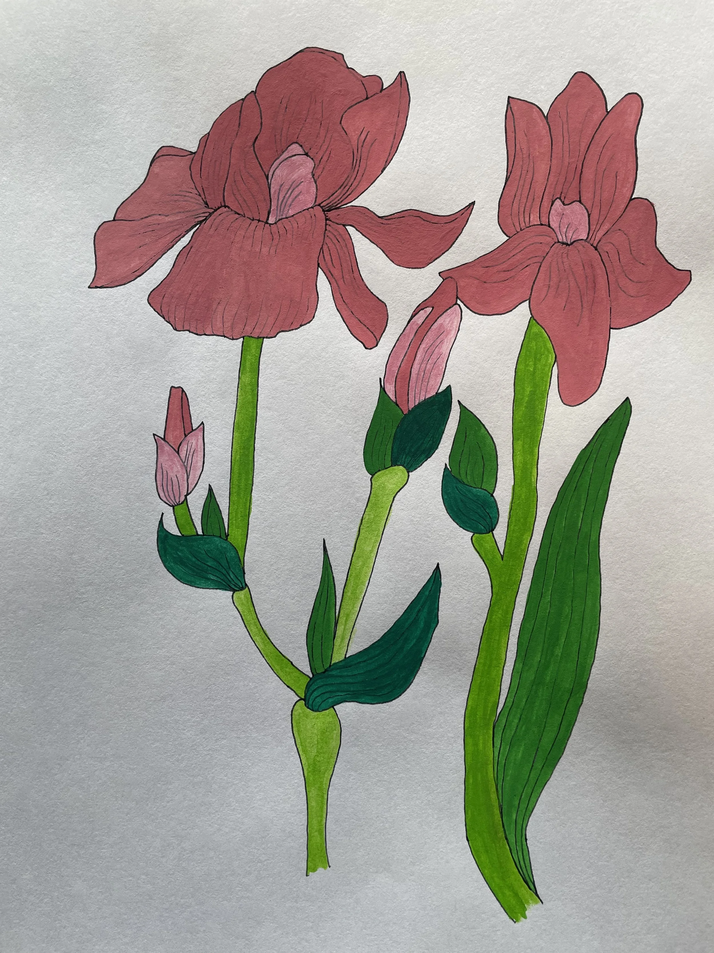 Flowers 02.jpg