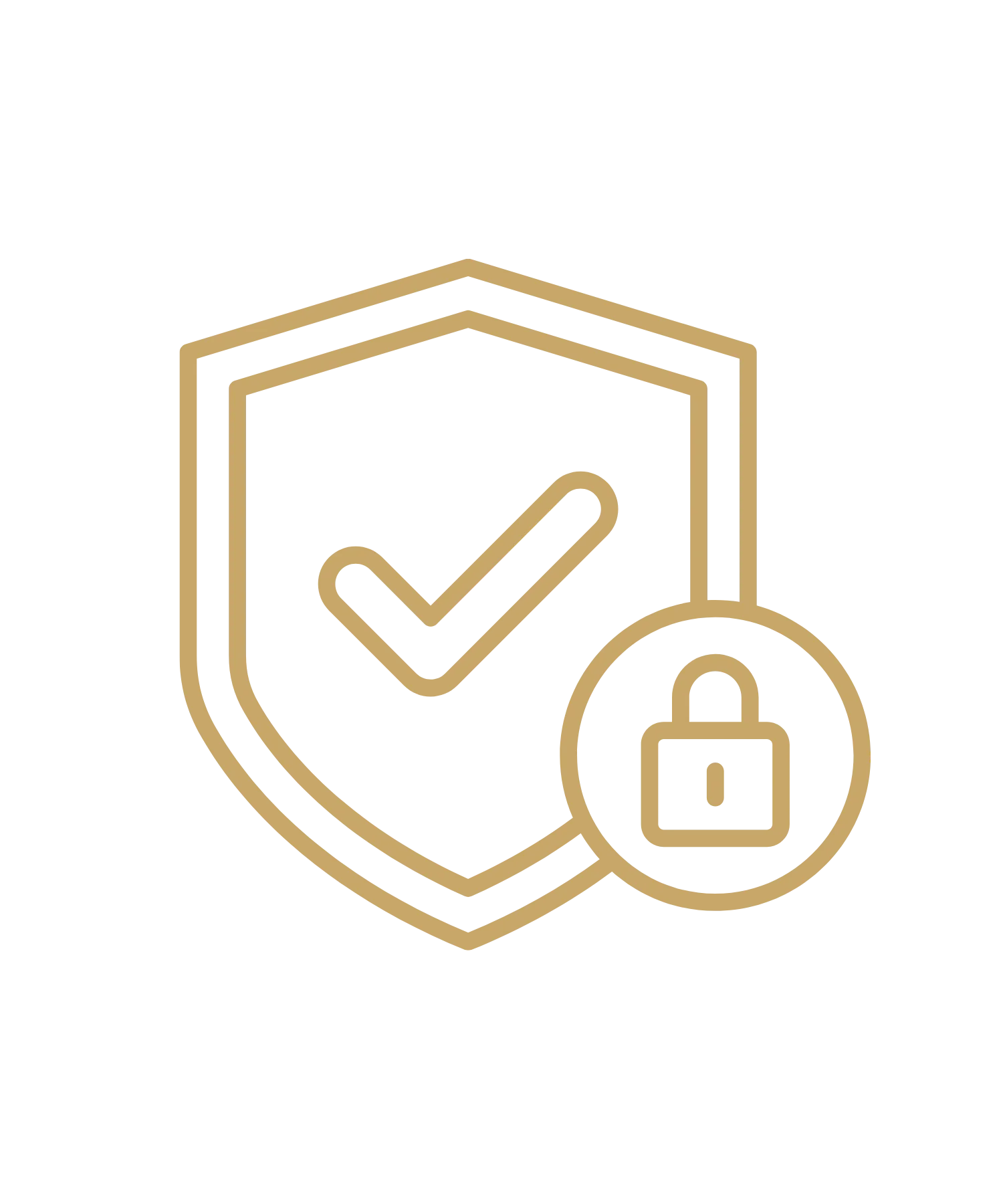 Icon of a shield with a checkmark and a padlock, symbolizing security and protection.