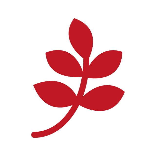 A red stylized leaf with a thin stem and multiple leaflets.