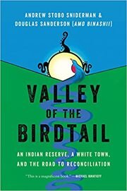 Book cover titled 'Valley of the Birdtail' by Andrew Stobo Sniderman and Douglas Sanderson, featuring a stylized illustration of a white bird and a bluebird around a river, with a green and blue background.
