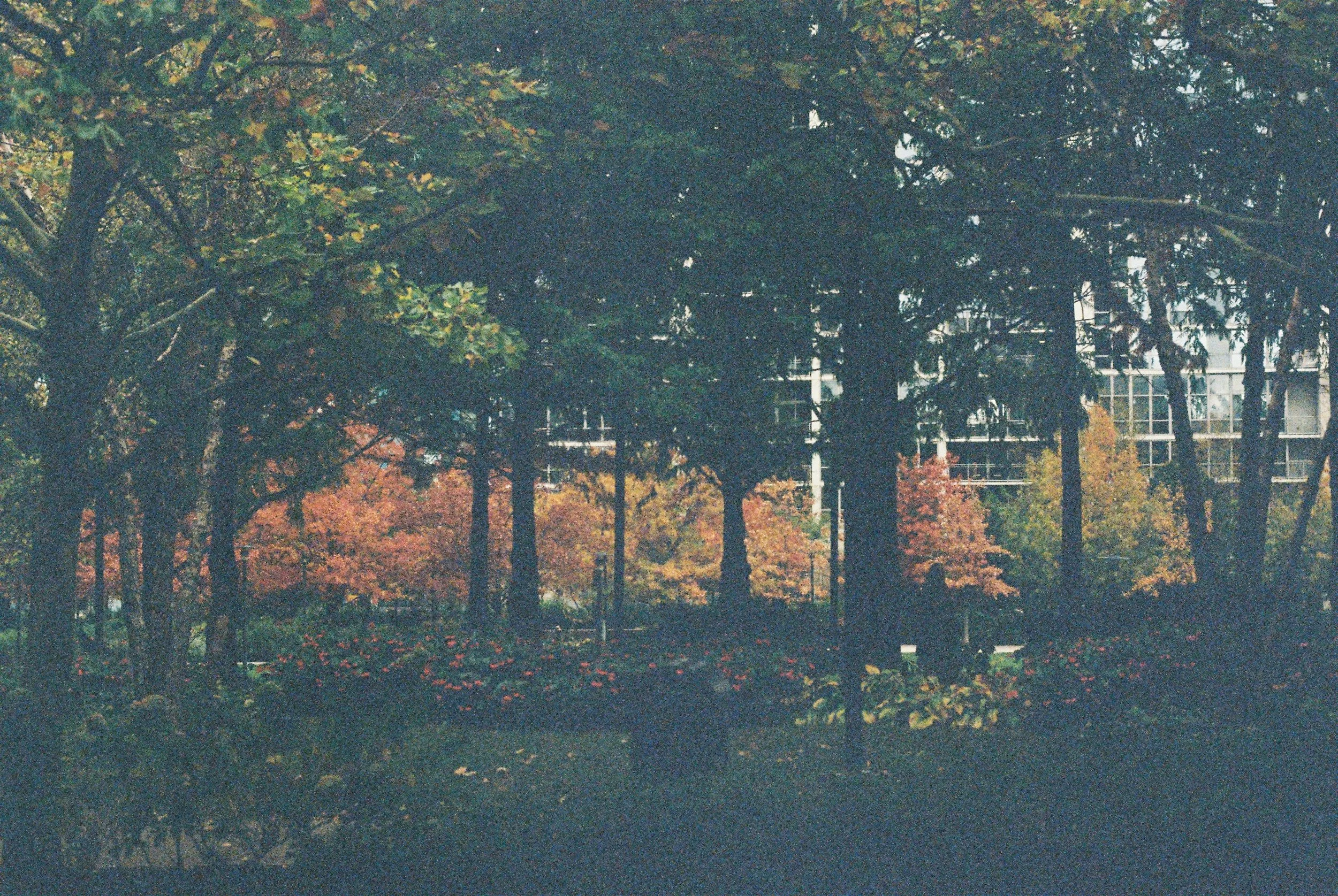 IMG_6200.jpeg