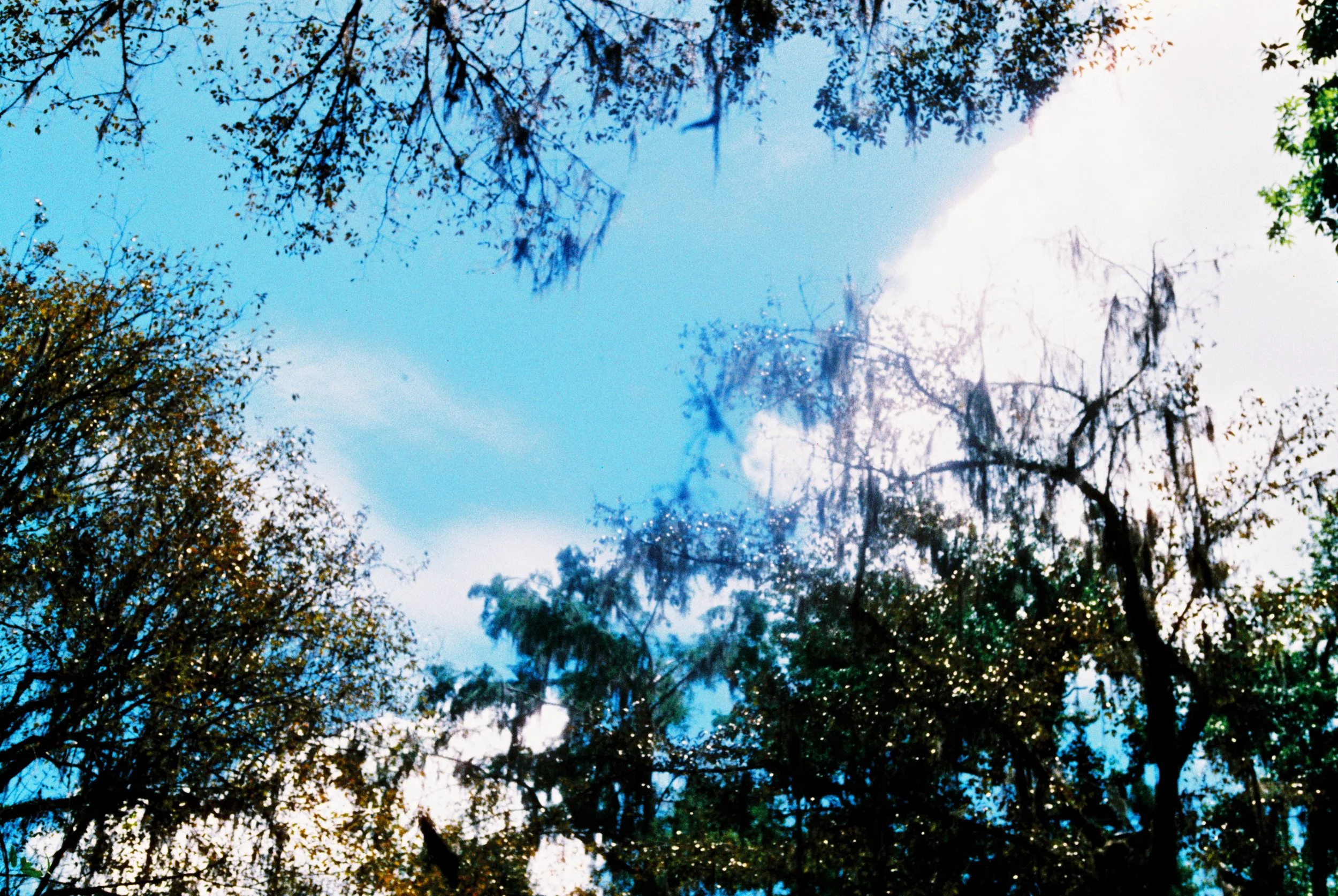 LSA2414001955-R1-022.jpeg