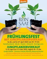 Reinsaat Festival 2026