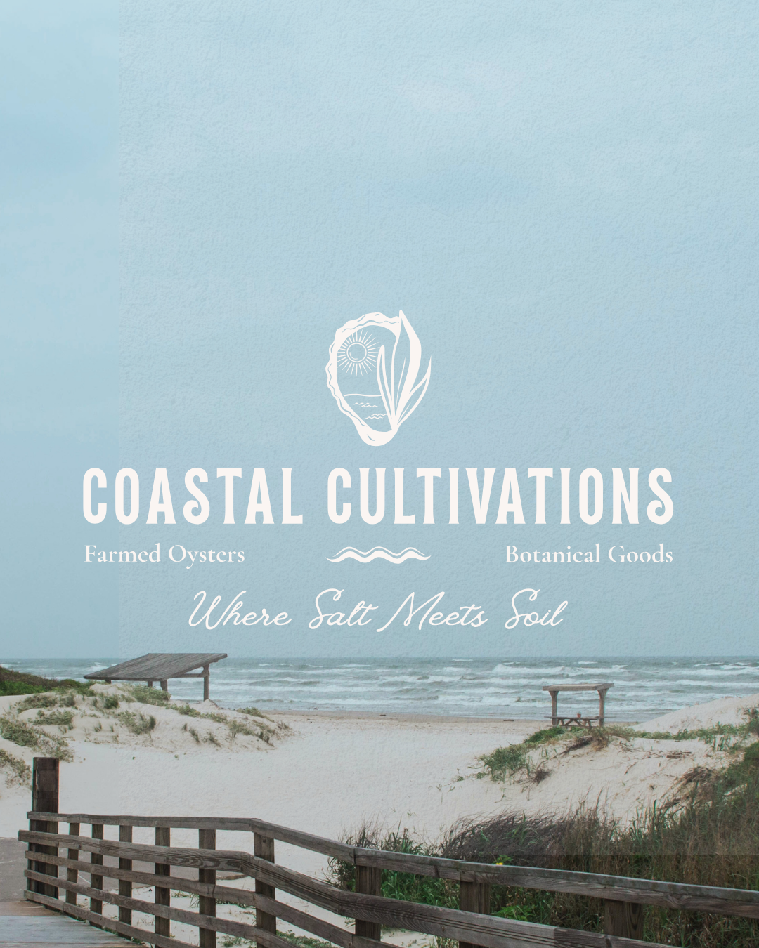 Coastal brand identity