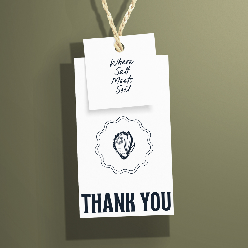 Custom branding project with typography and color palette for a service-based business