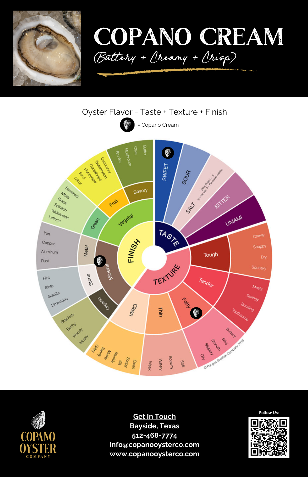 Branding project for seafood industry