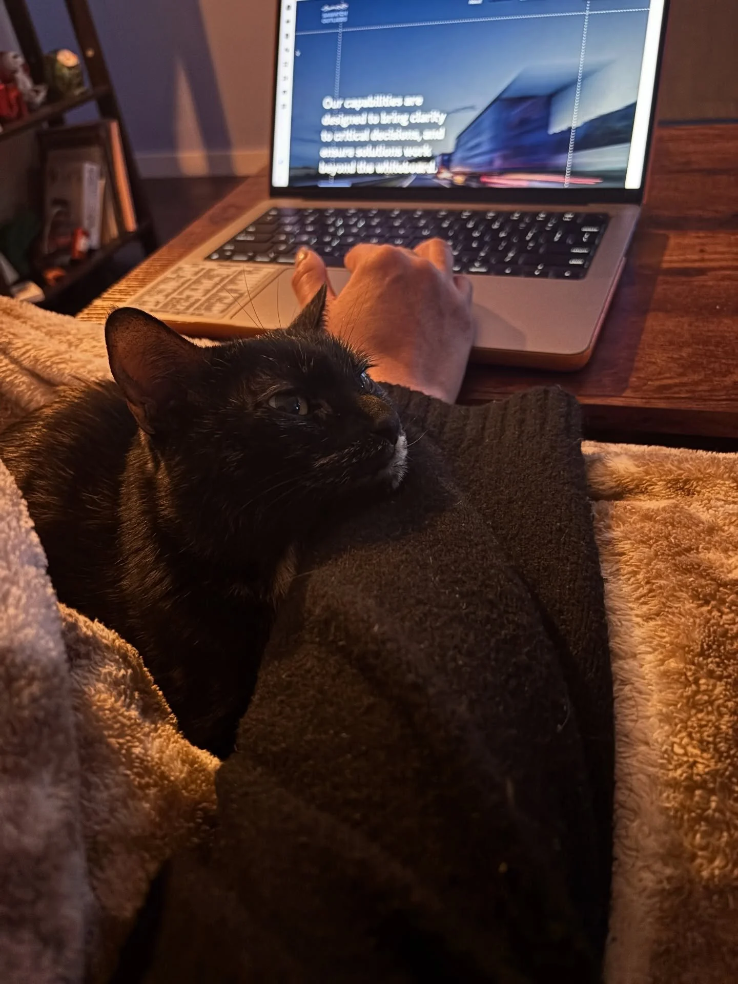 This post is dedicated to my furry assistant 🐈&zwj;⬛

#wfh #catmom #entrepeneur
