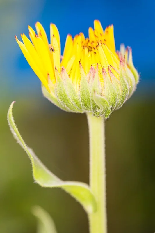 Heal with specialized trauma therapy