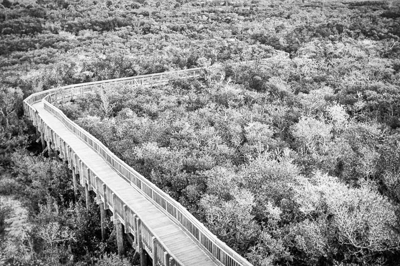 Healing with Grief counseling