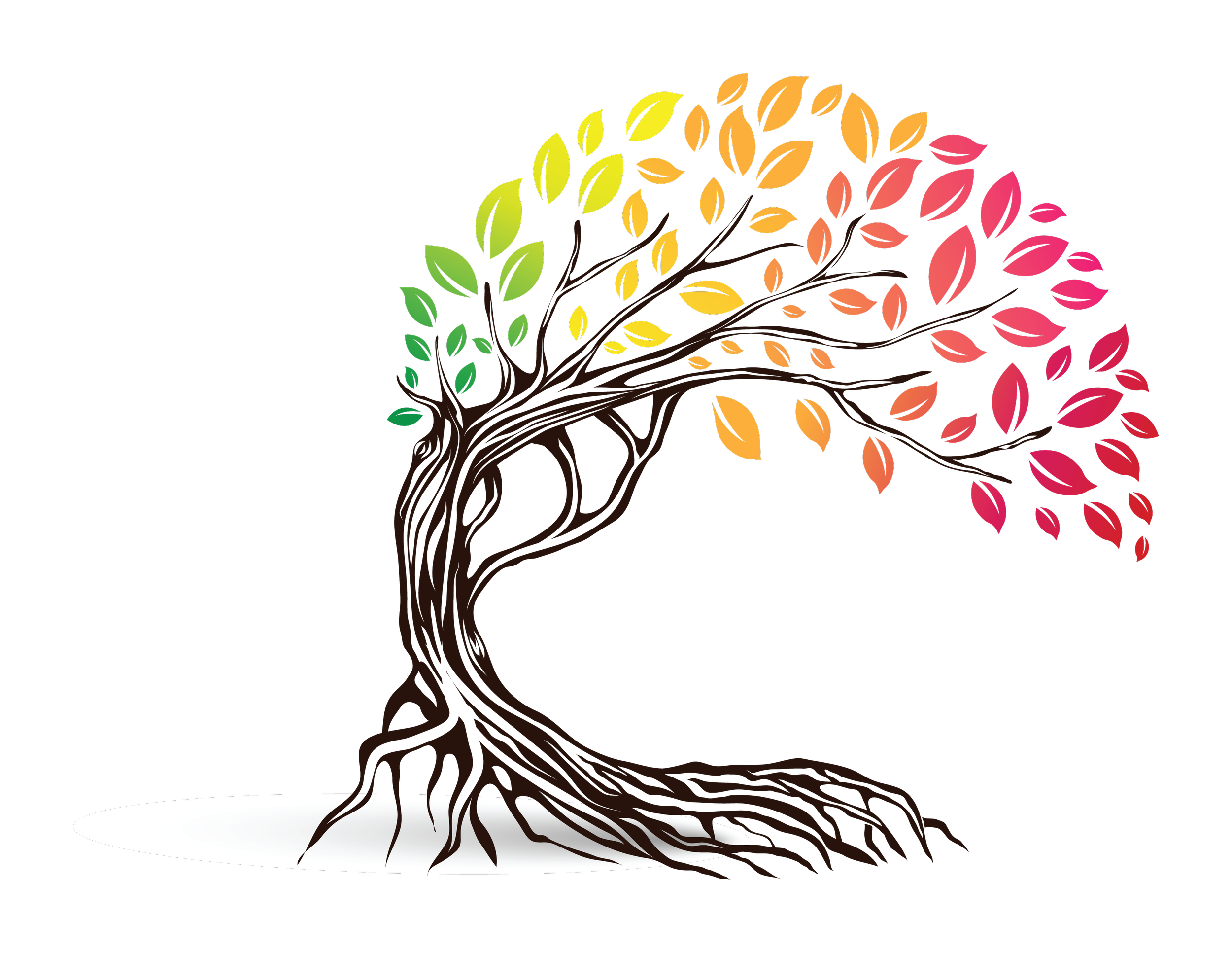 Tampa therapist providing counseling and yoga to adults specializing in grief, trauma and addiction.