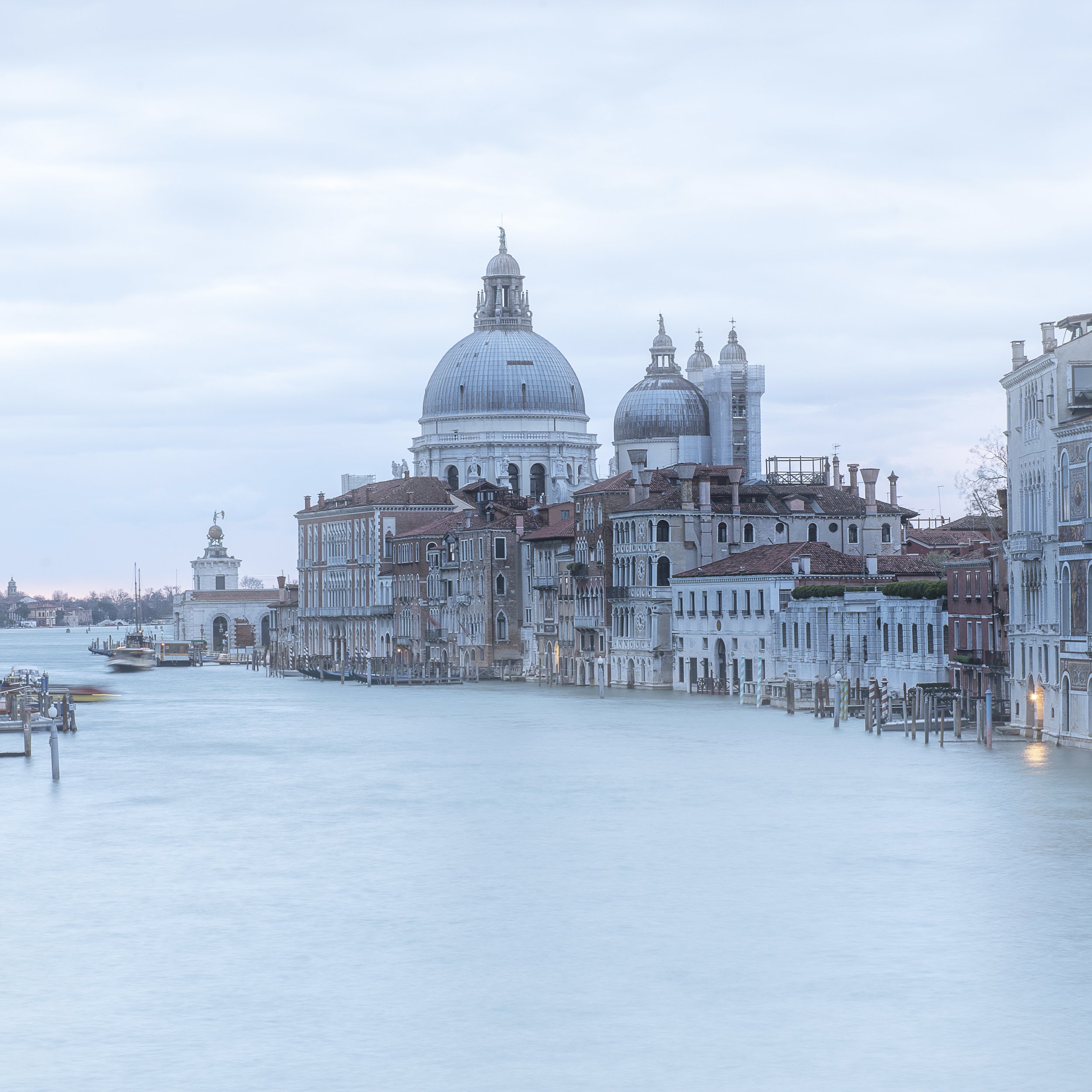 53. Accademia Bridge - Deirdre Murphy.JPG