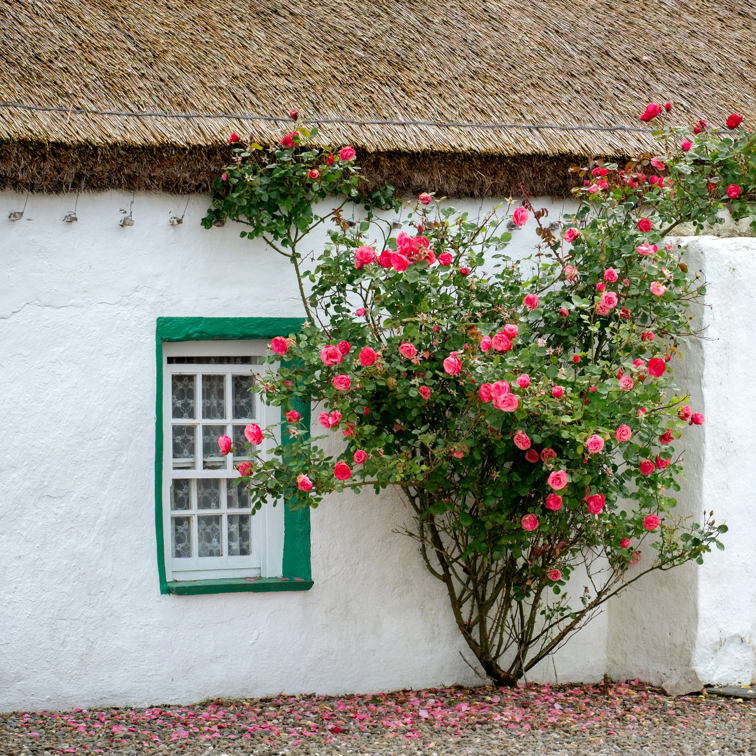 P101-Summer Cottage -FineArt-Adj.jpg