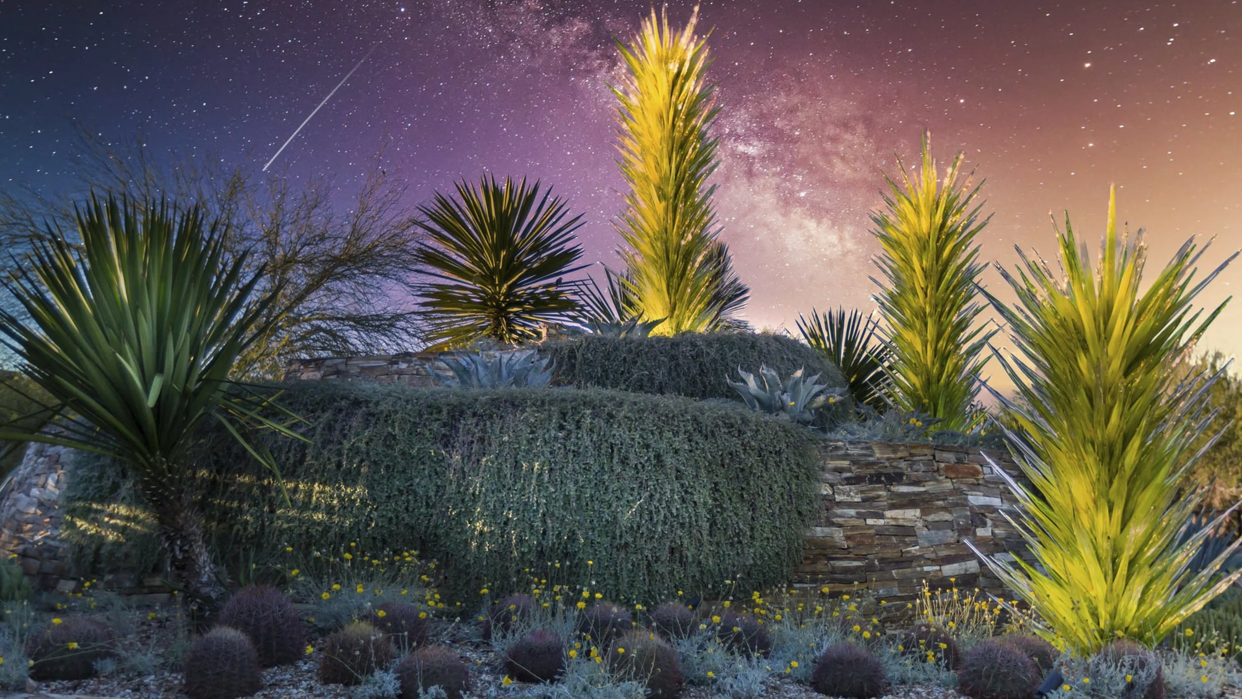 12.  Arizona Desert - Vyvyon Styles.JPG