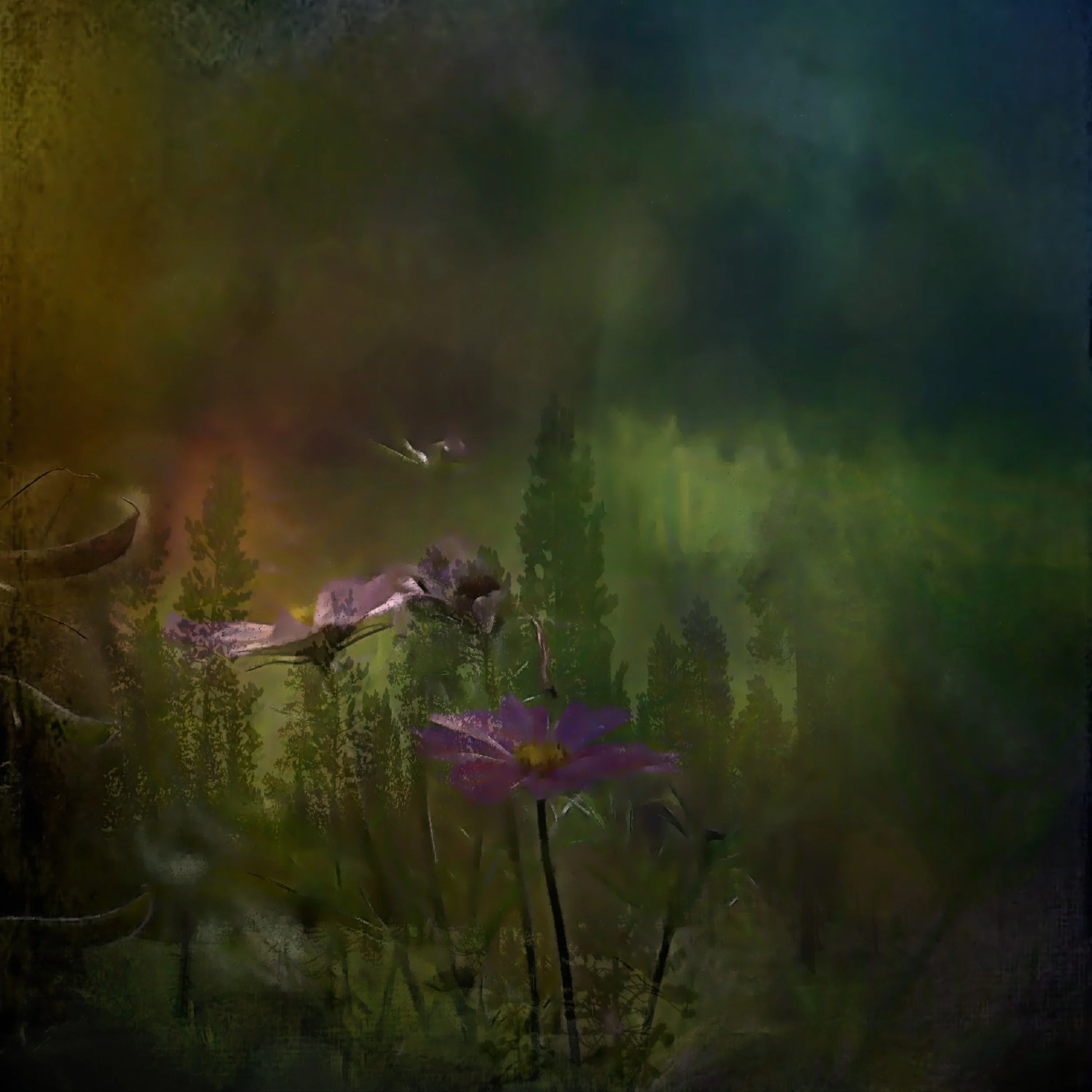 P124_Flowers in the Forrest_FineArt_Adj - Copy.jpg