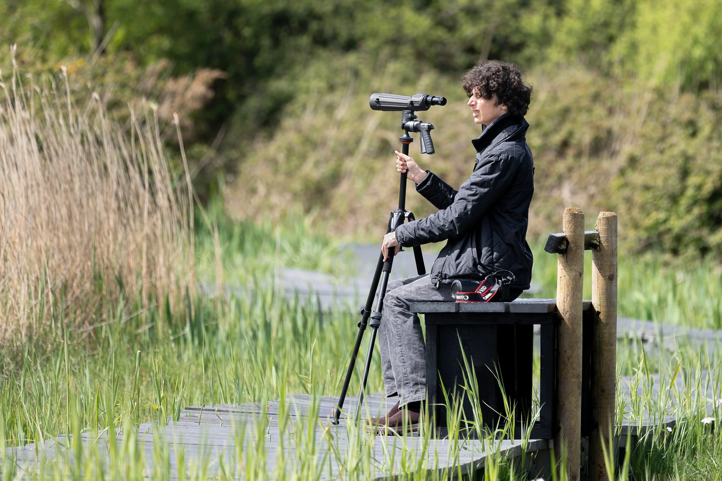 P162_Deer spotting_FineArt_Adj.jpg