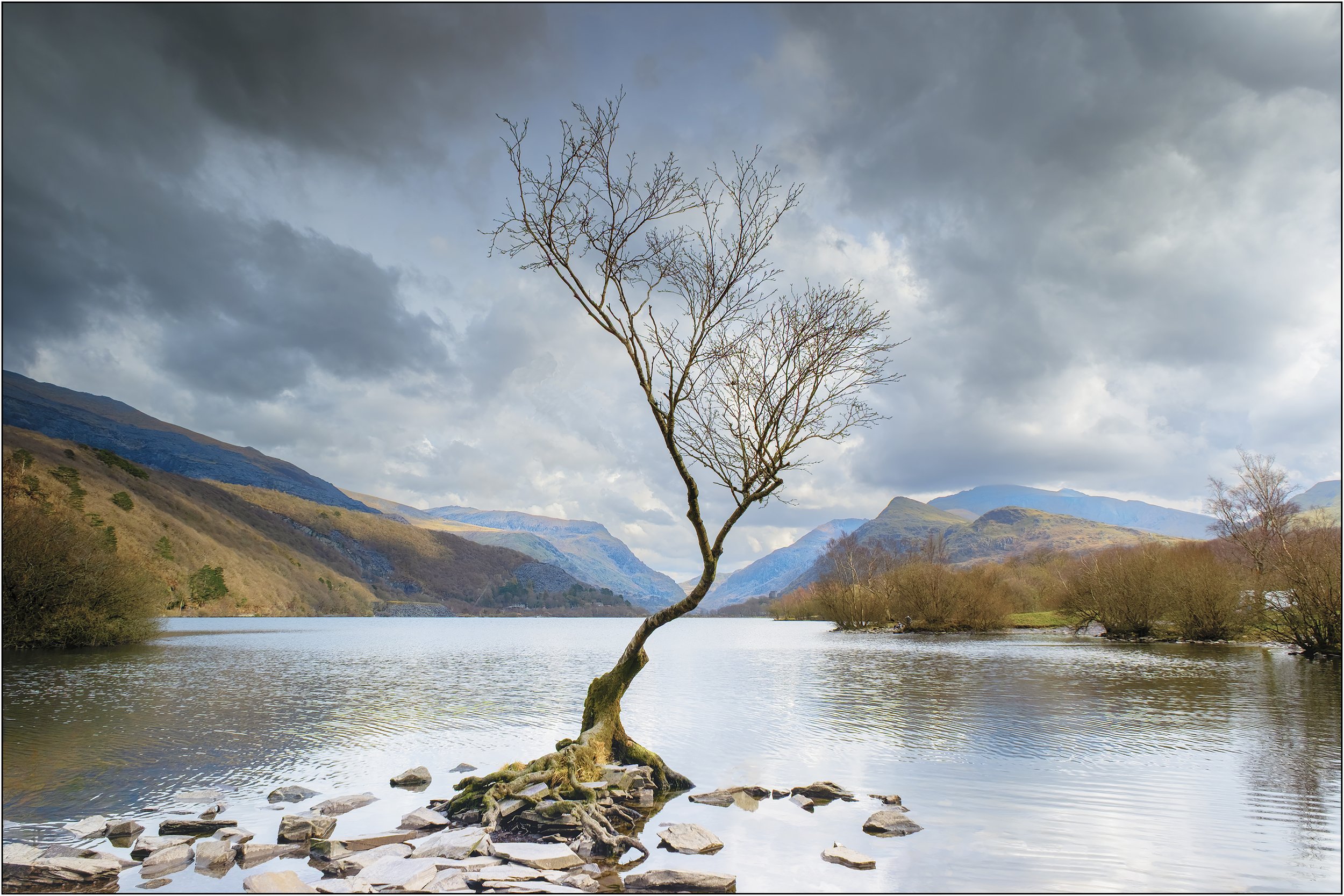 P080-Lone Tree, LLanberis-FineArt-Adj.jpg