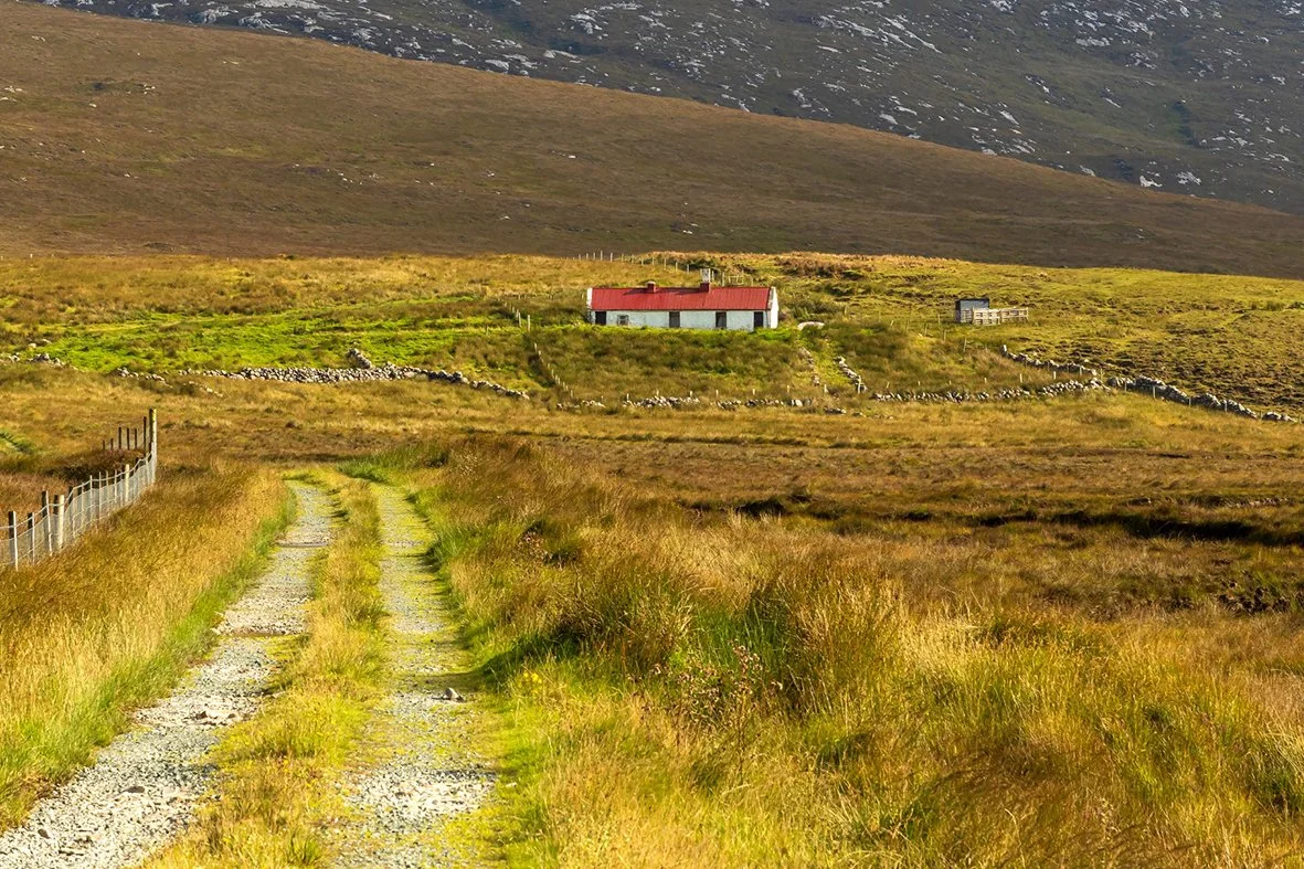 An Old Homestead in Donegal