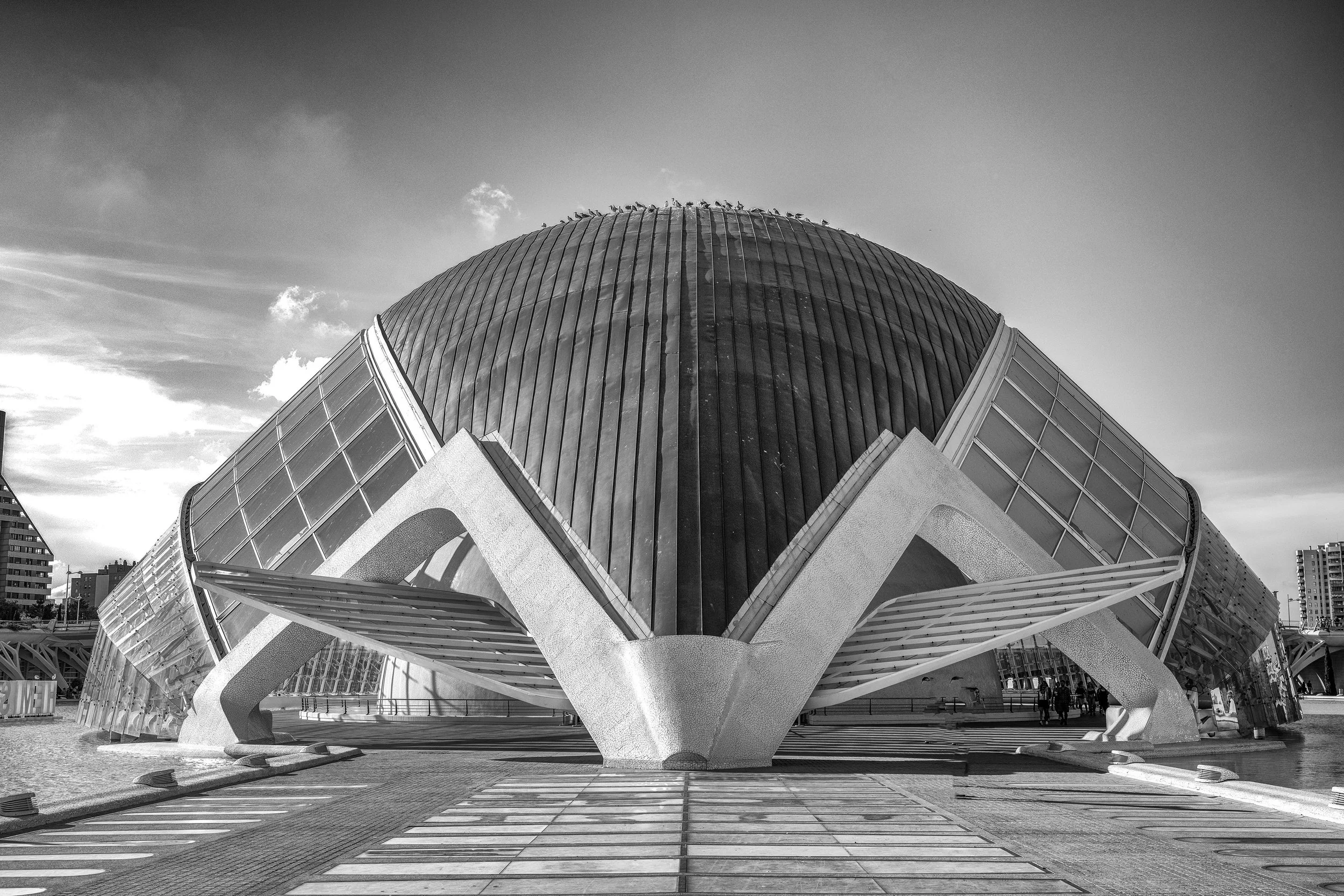 P137-.Eye of Wisdom- fine art paper -adj-jpg.jpg