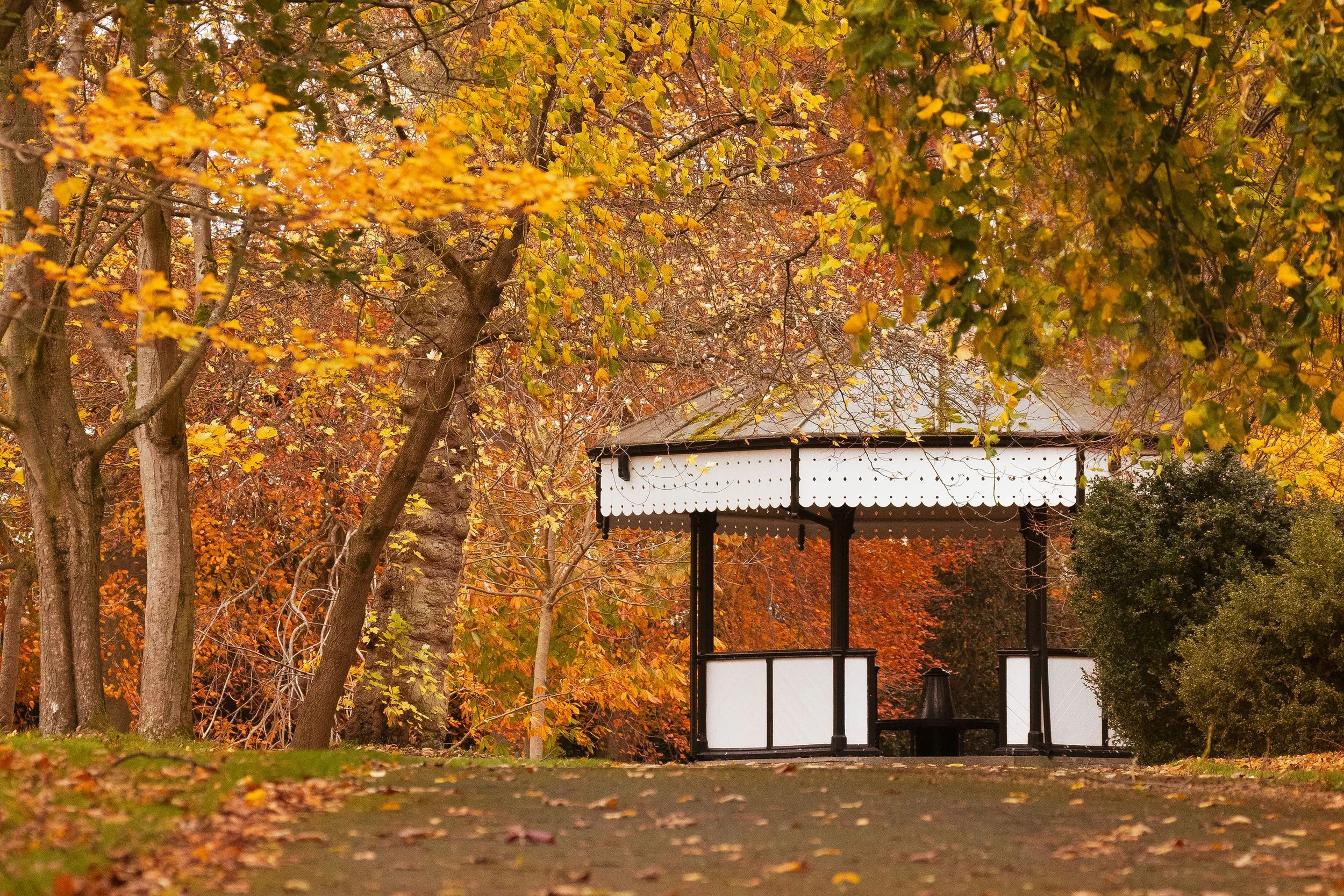 P117 -Botanic Autumn-Fine Art NoADJ.jpg