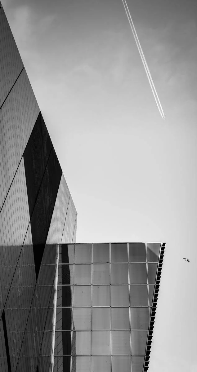 50_Soaring sights_Aoife Moores.jpg