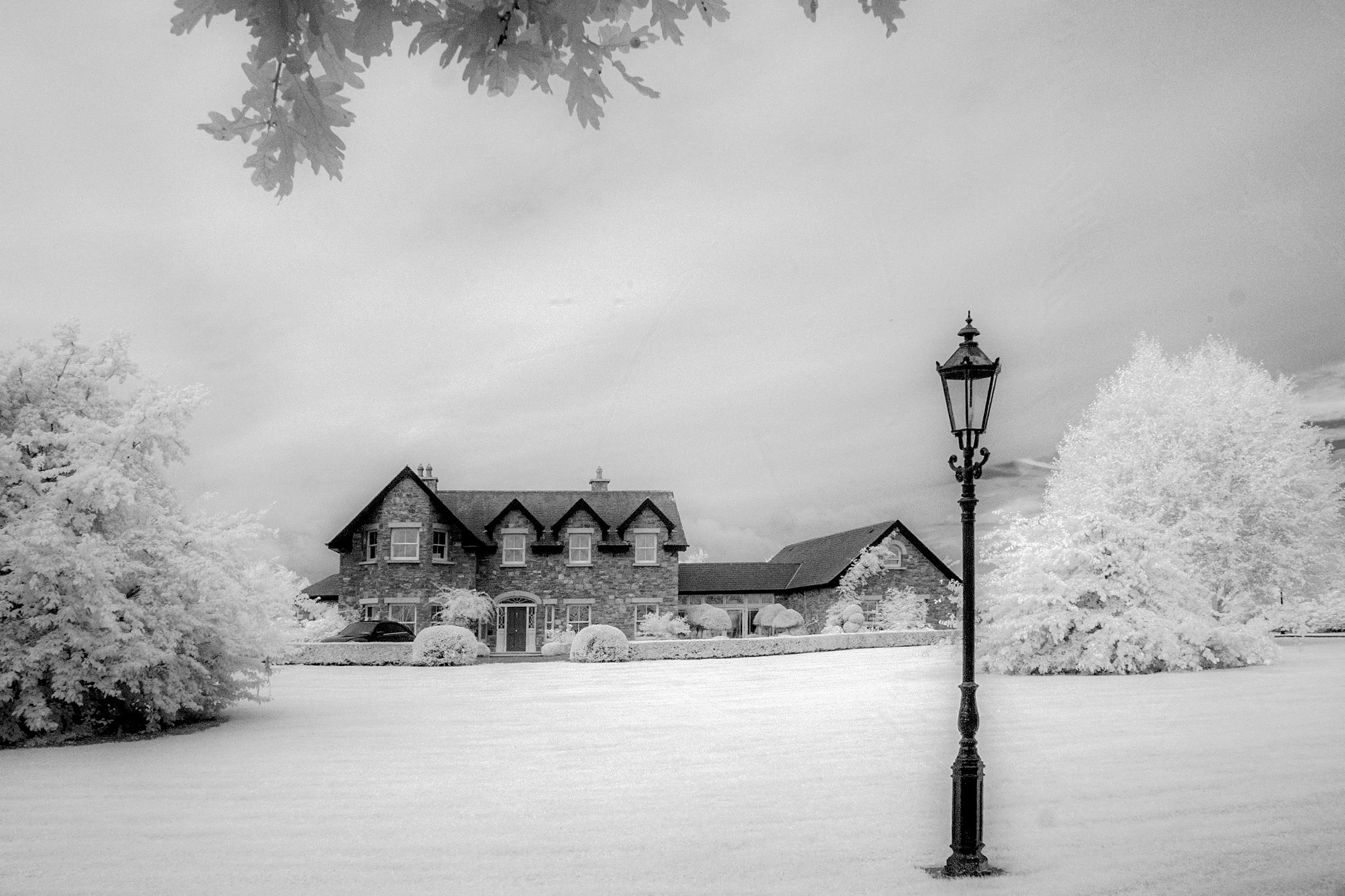 P001_Kilgar Gardens_Fine Art_NoAdj.jpg