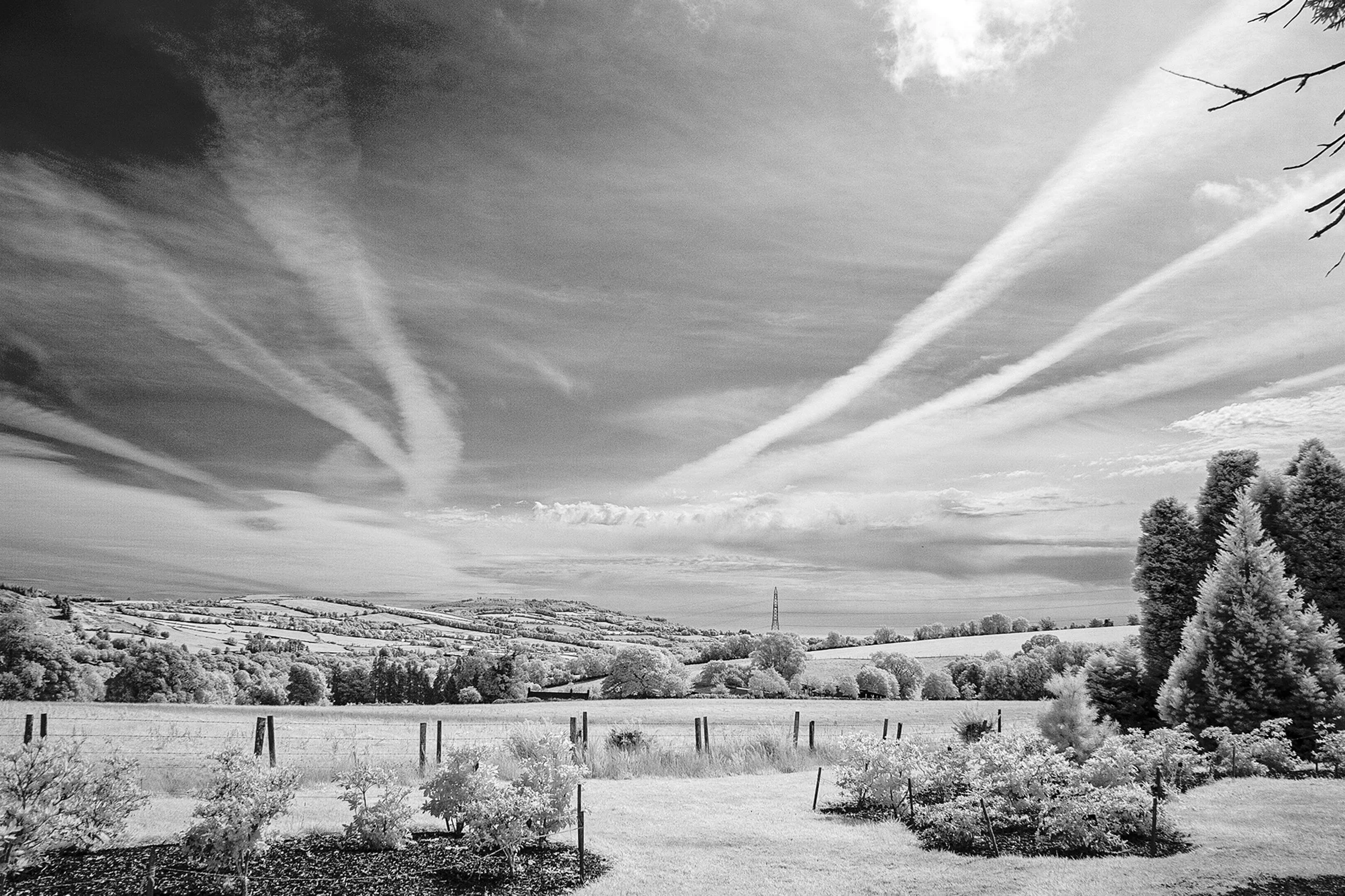 P001_Kilmacurragh, Wicklow_Fine Art_NoAdj.jpg