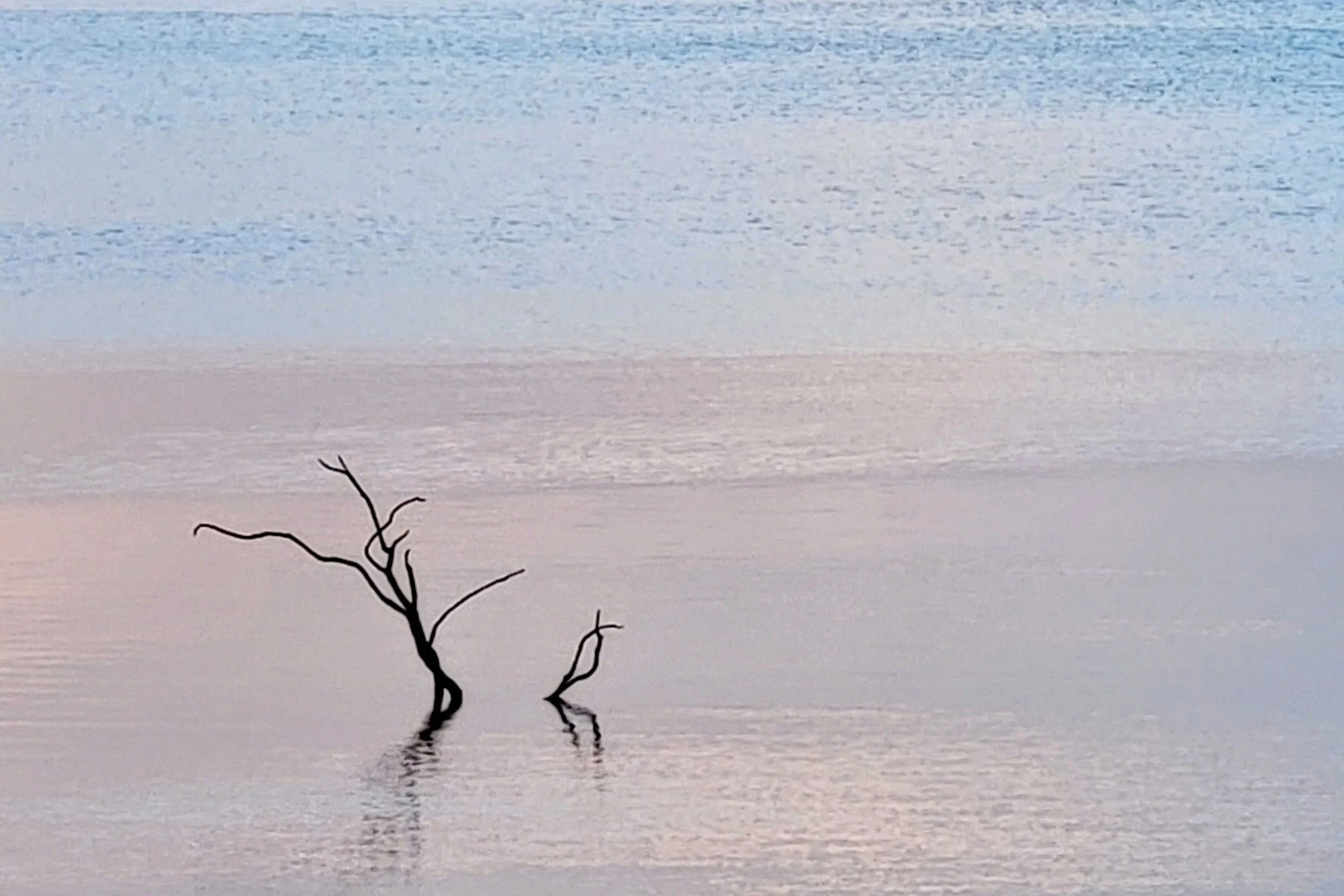 P054_Dancing at Dawn_Fine Art_NoAdj.jpg