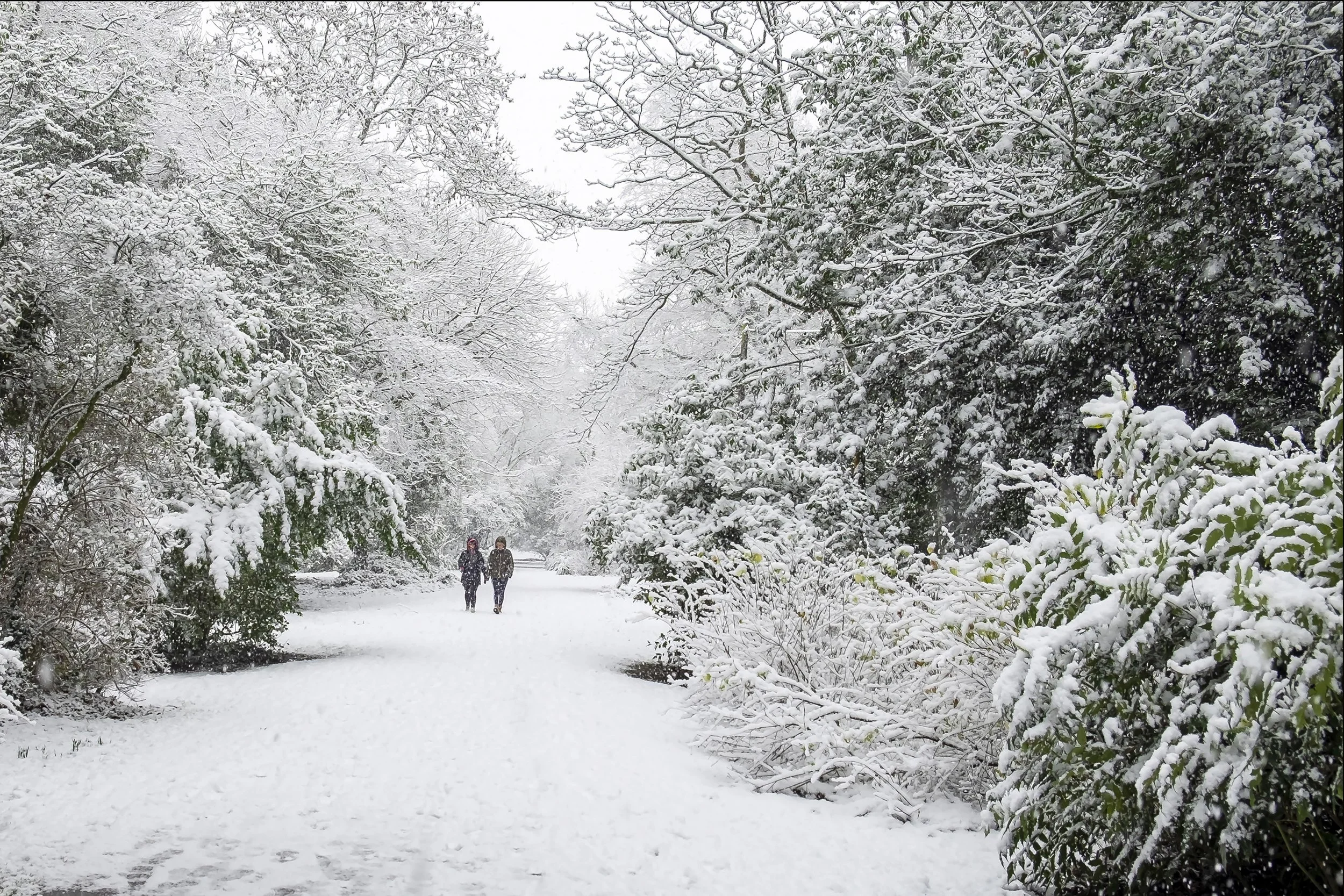 64. Winter Stroll - Roisin Nugent.JPG