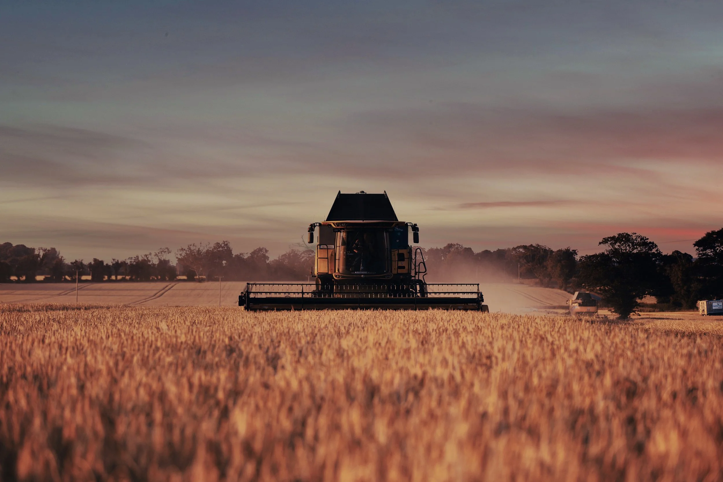 P143_Corn Field_FineArt_NoAdj.jpg
