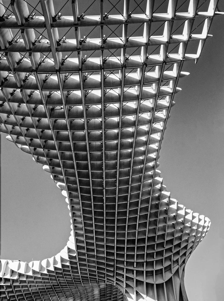48_Parasol_Gerry Fitzmaurice.jpg