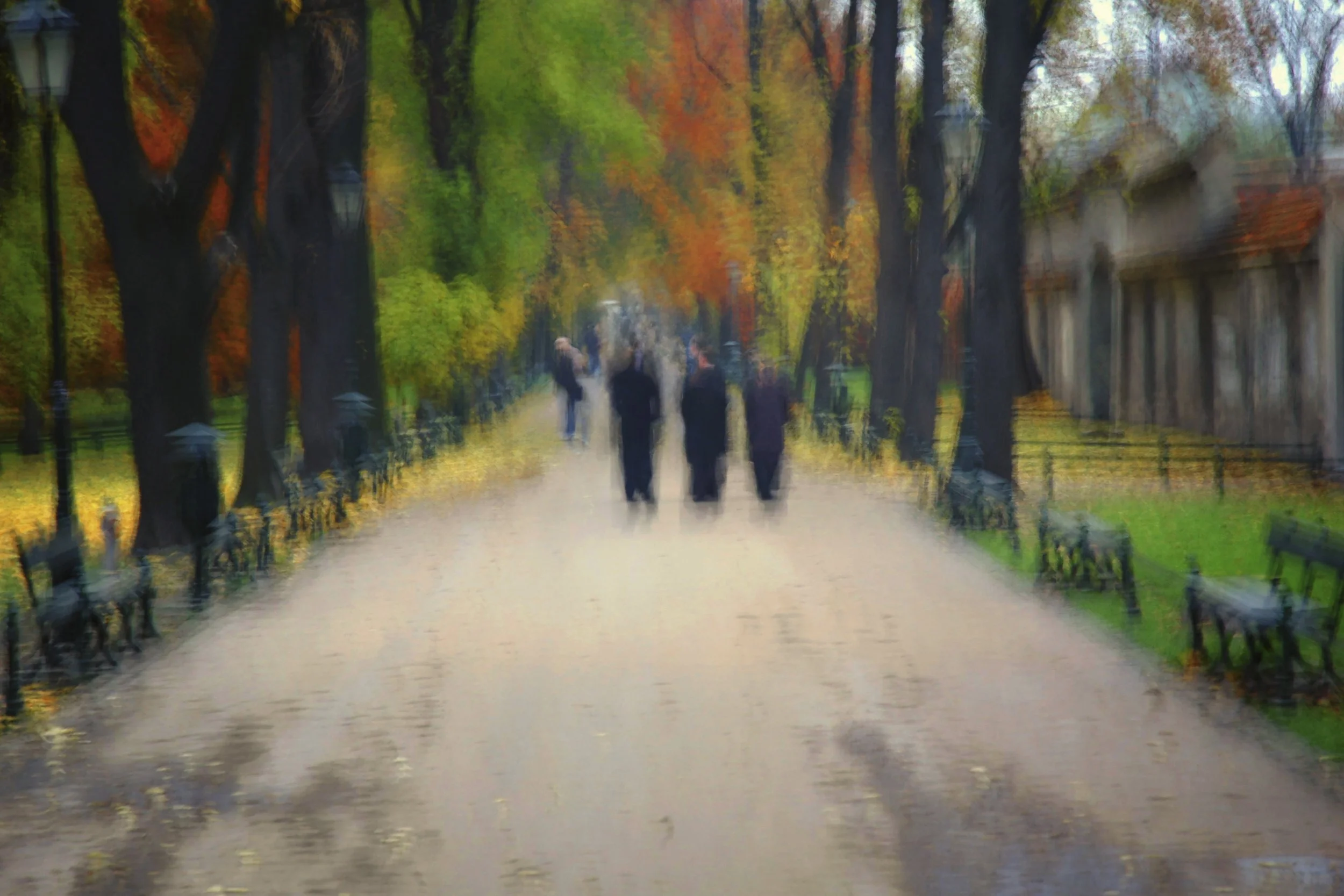 3.  Autumn Ramble - David Kelly.JPG
