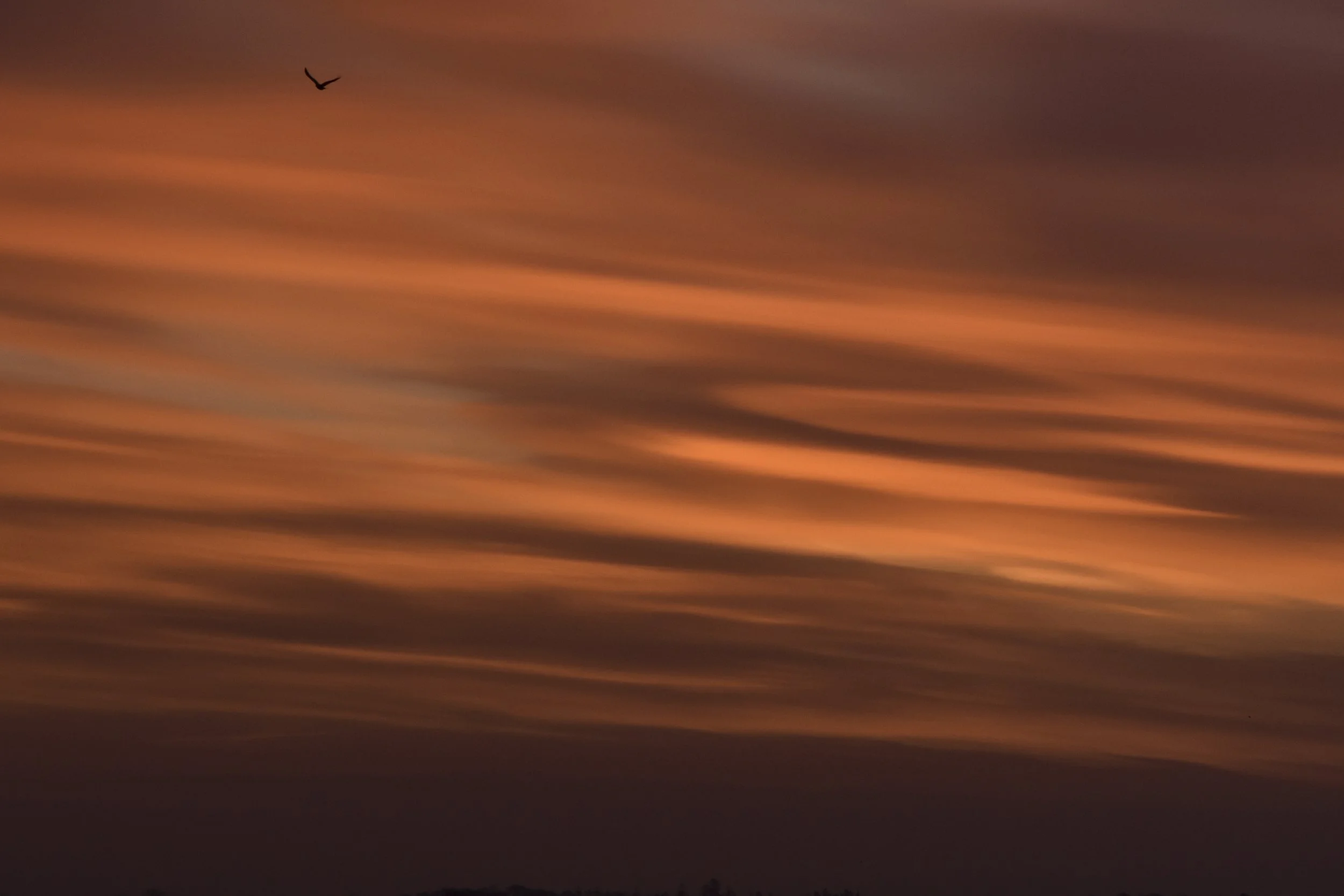 49. Dawn Breaking Over Hill of Tara - Frank Gallogly.JPG