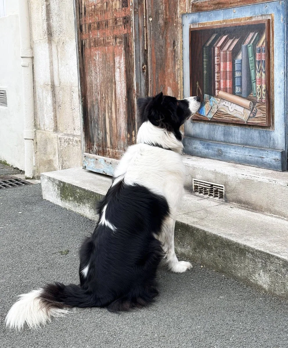 3rd. David Burke - Literary Dog