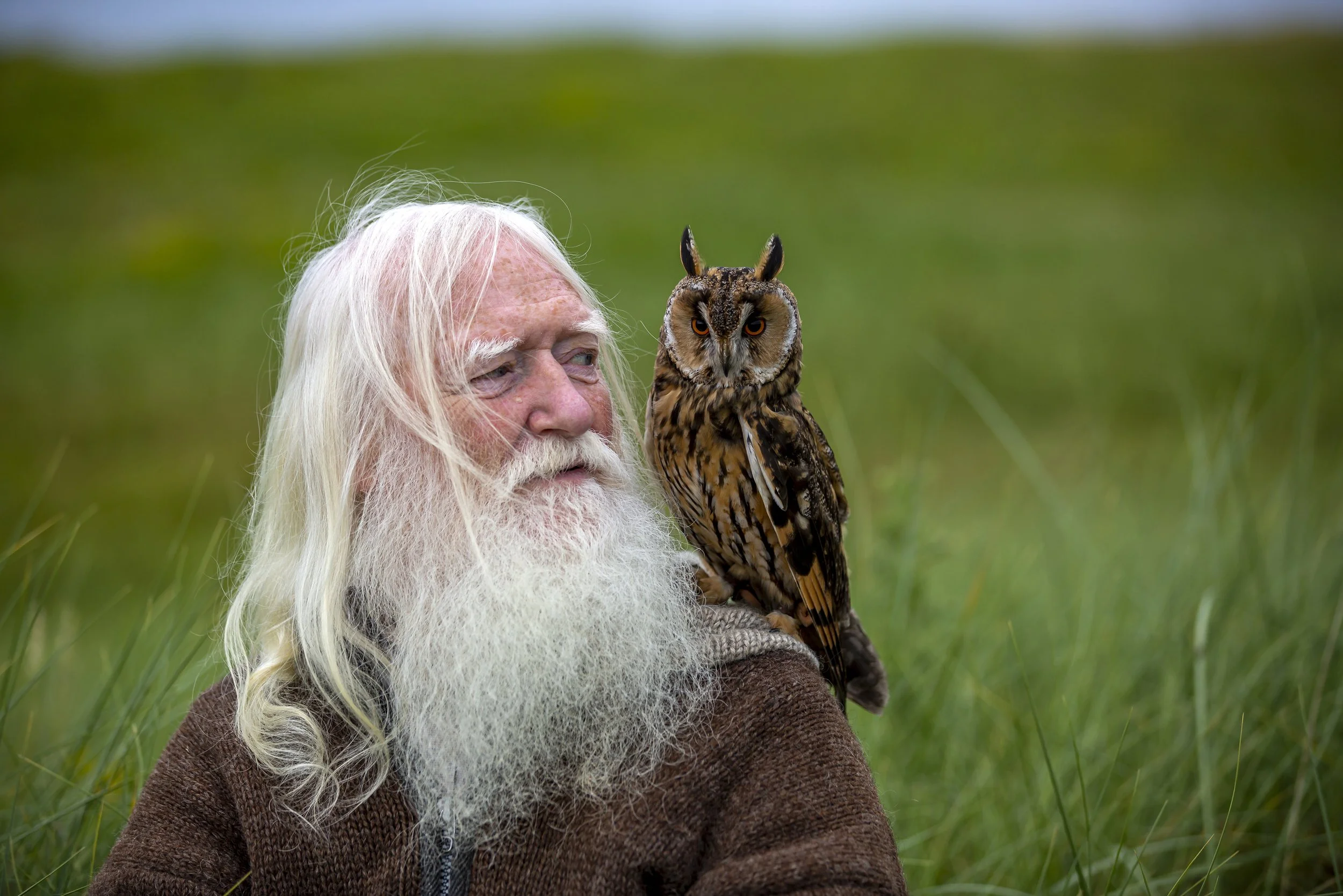 P035-FineArt-Wise, Watchful Guardian-Adj.jpg