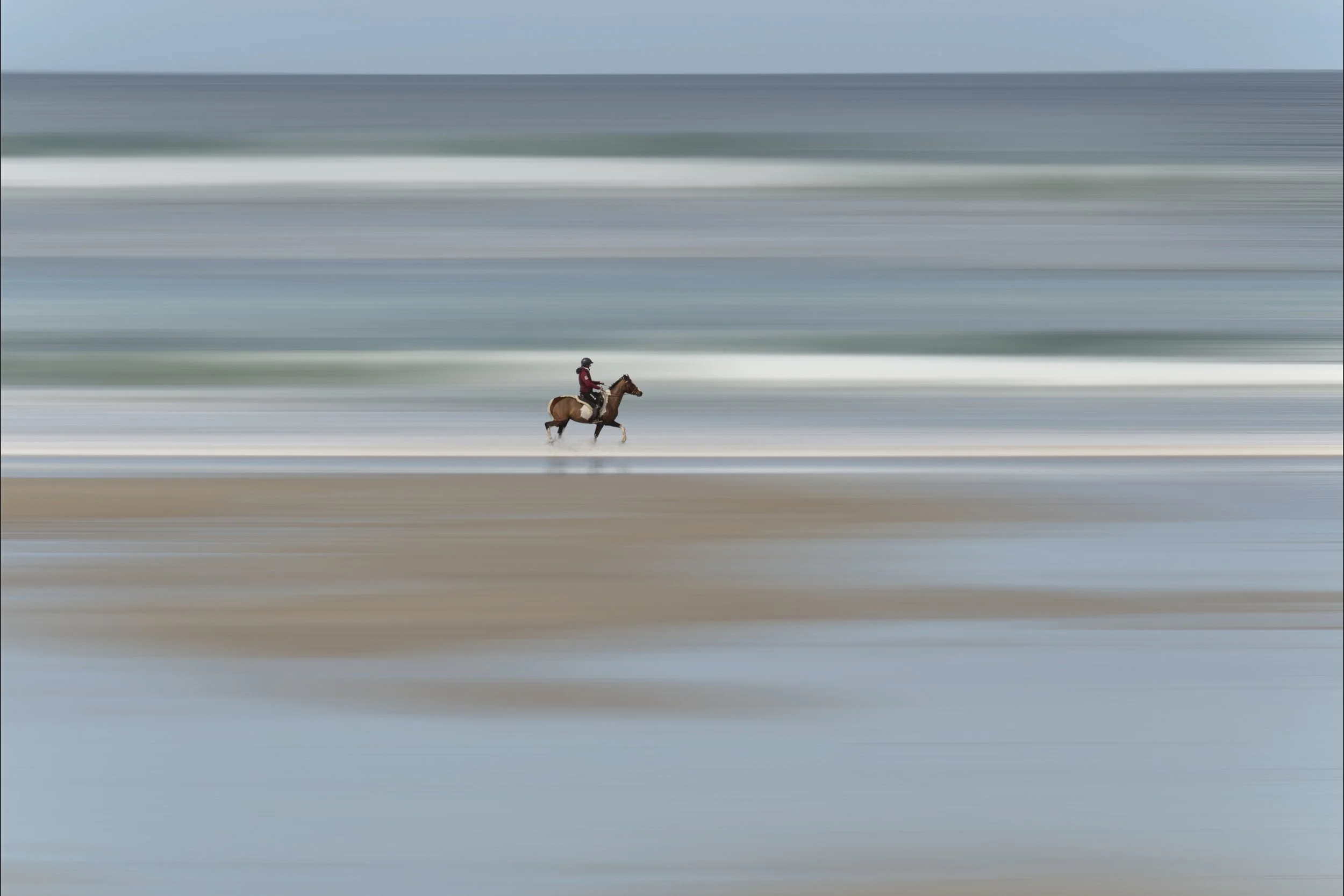 44. Morning Canter - Catherine Bushe.JPG