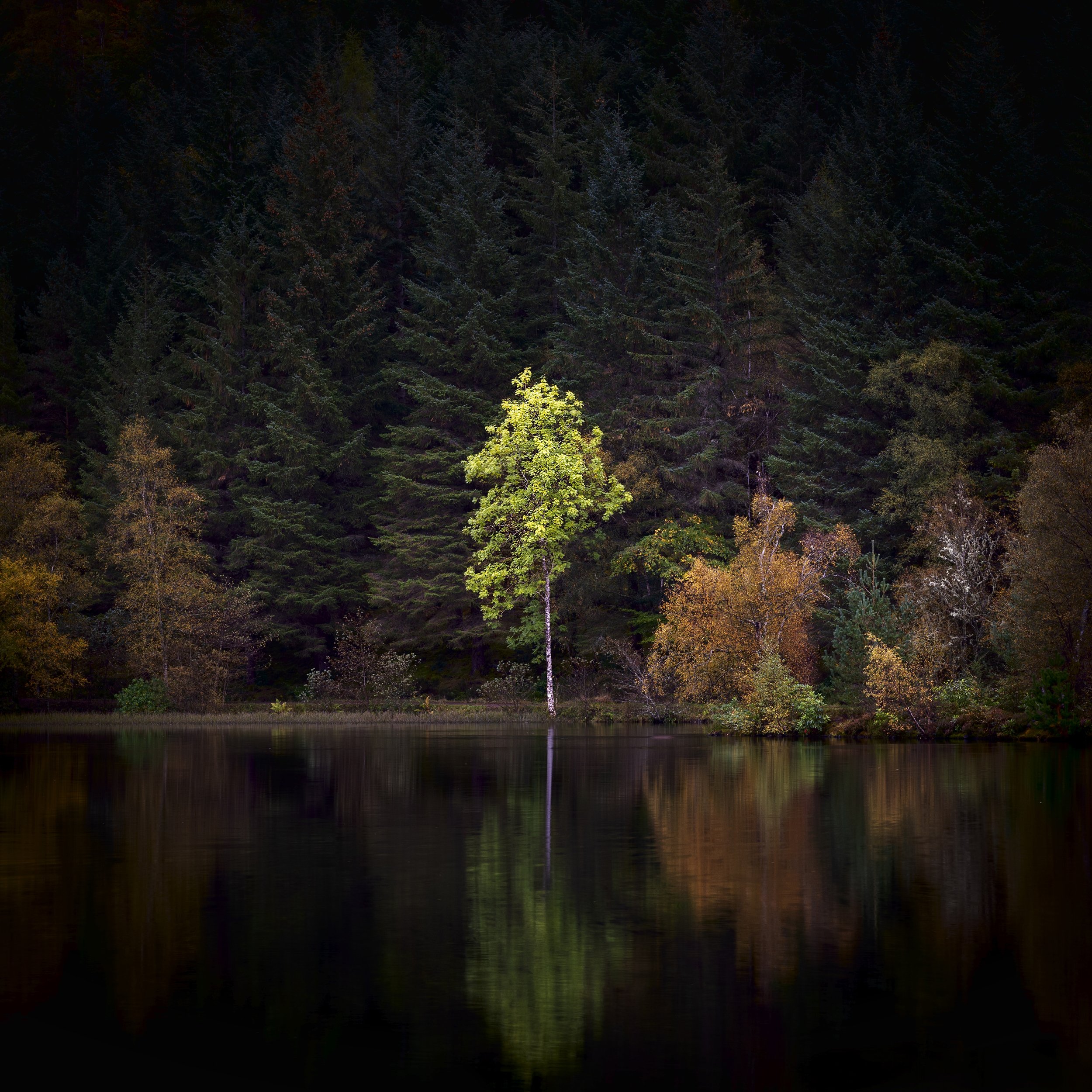 47. Glencoe Lochan - Paul Raftery.jpg
