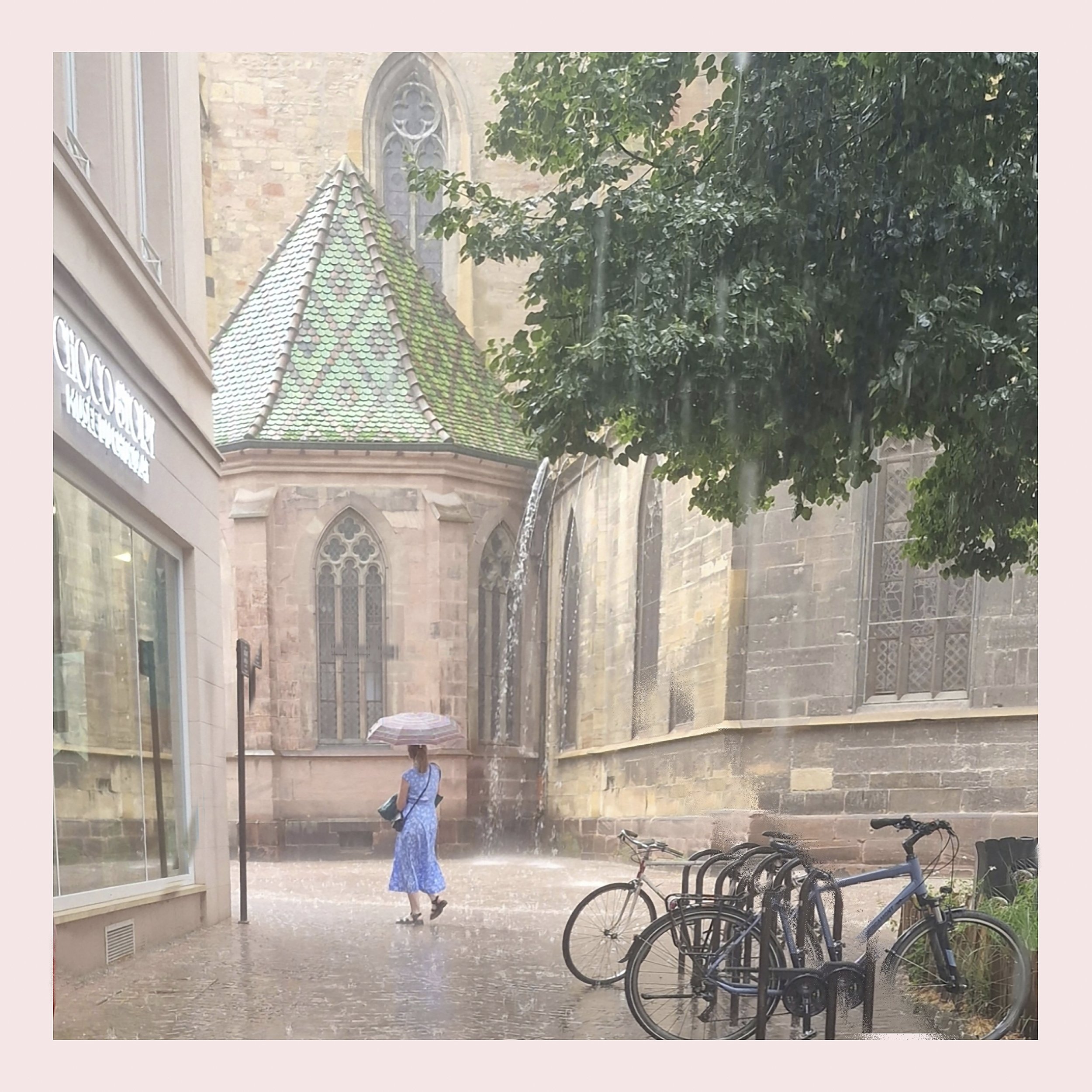 85. Sunshower - Ann Marie Haverty.JPG