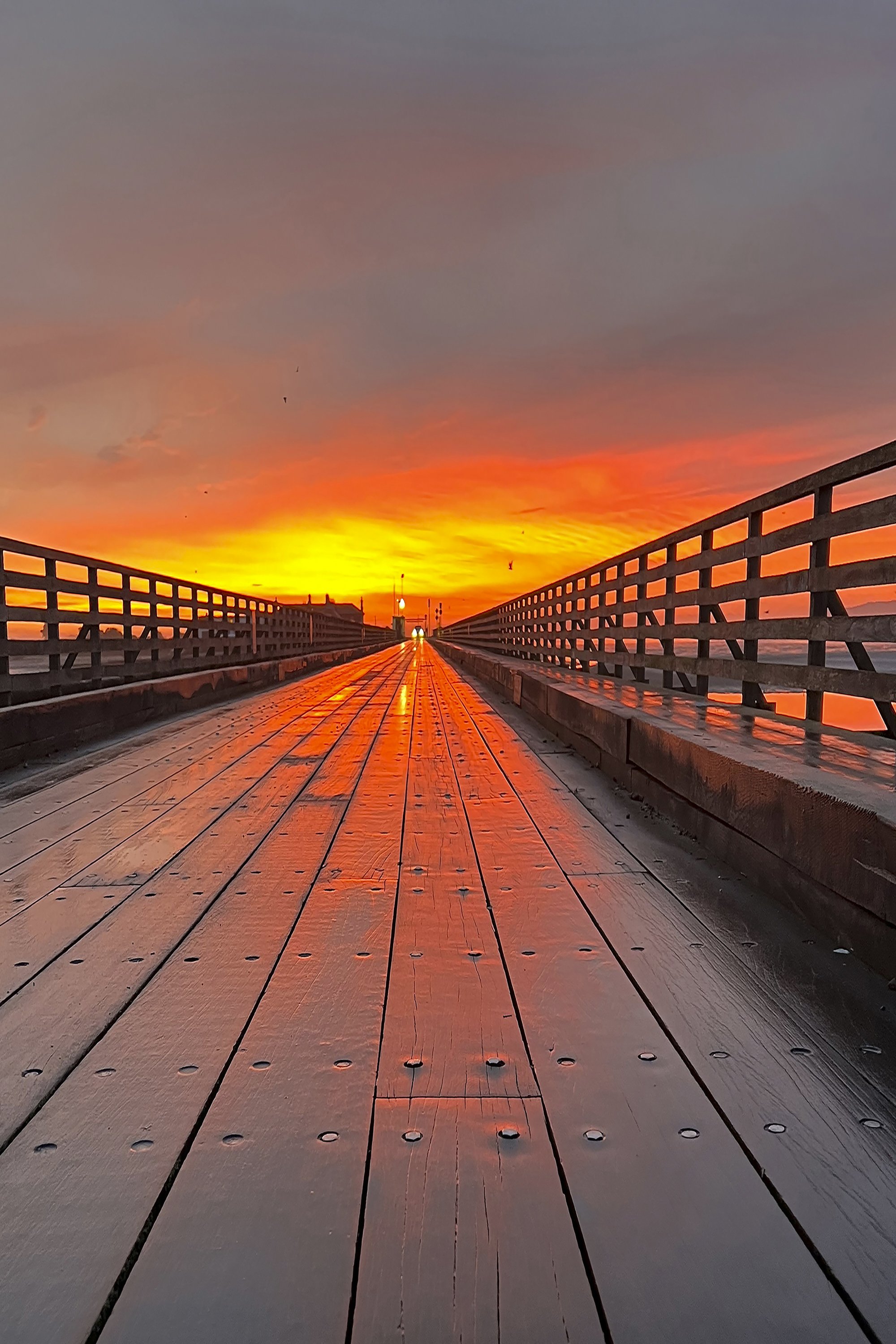 84 Wooden Bridge - Mary Flanagan.JPG