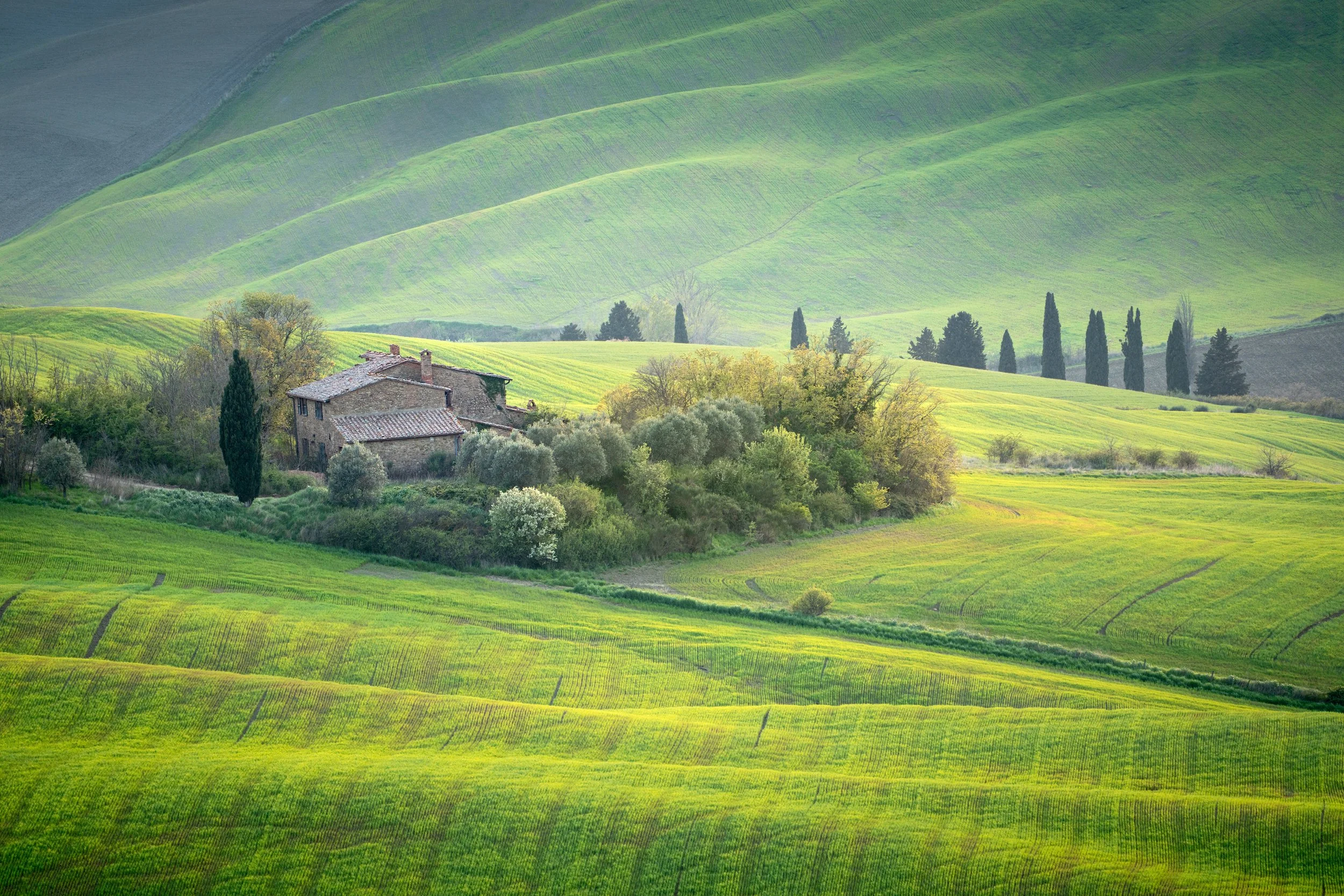P103-Golden Hour Tuscany-FineArt-Adj.jpg