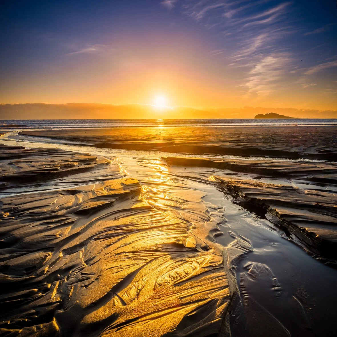 Gold Canyon in the Beach
