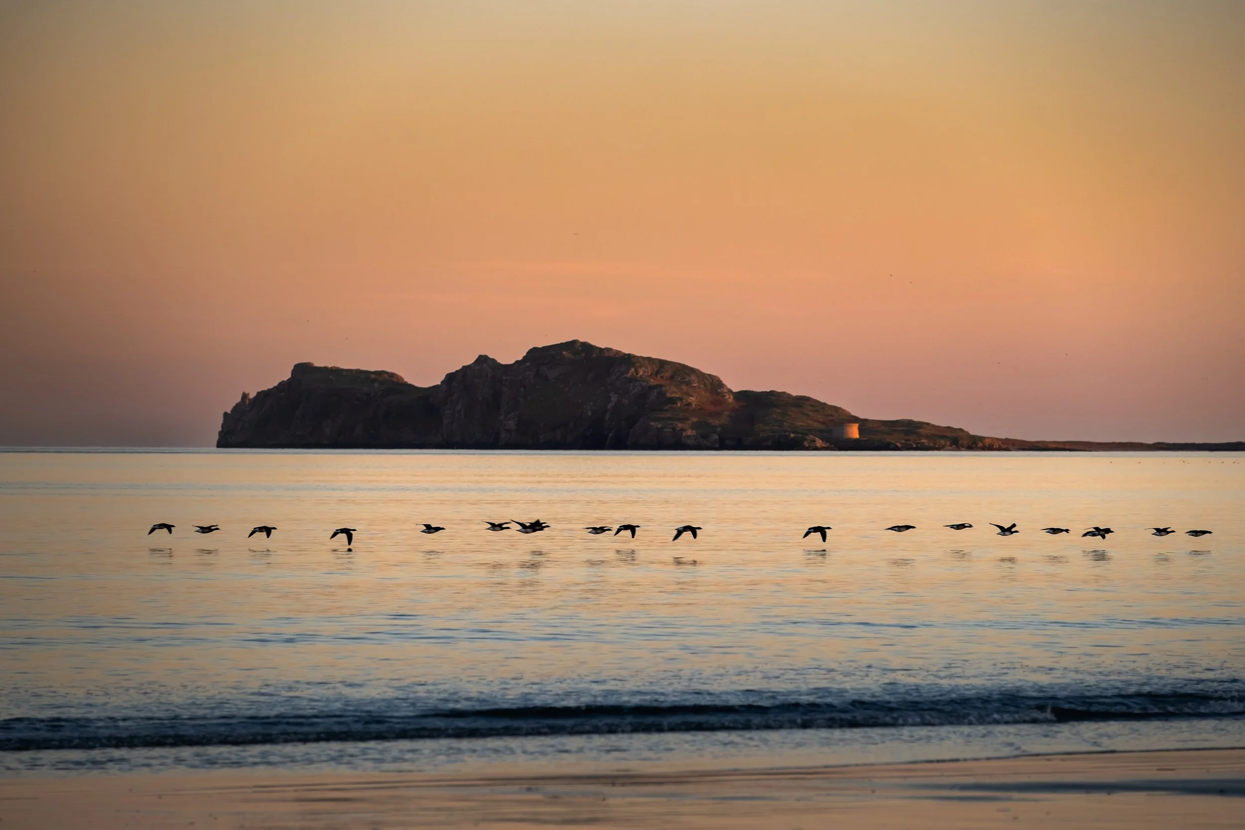 P101-Winter Visitors -FineArt-Adj.jpg